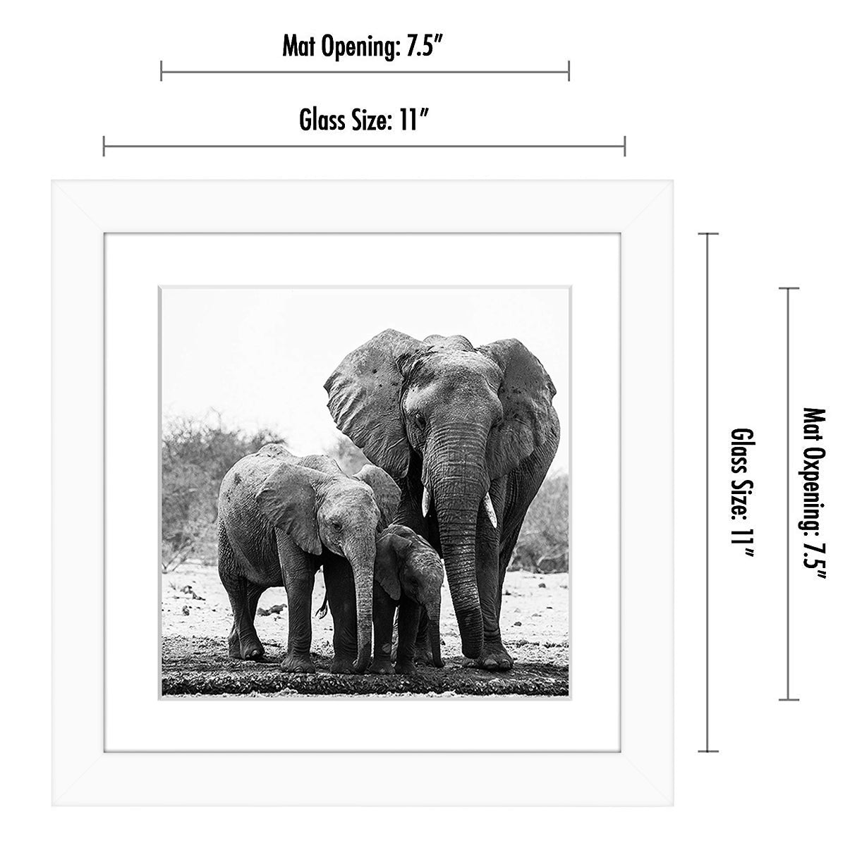 Gallery Picture Frame with Mat | Signature Collection