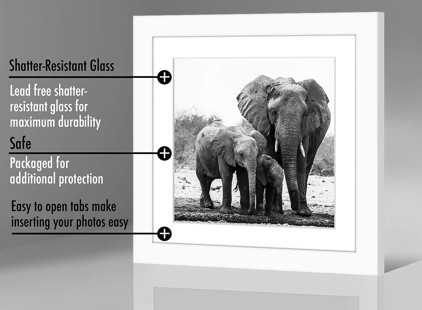 Gallery Picture Frame with Mat | Signature Collection