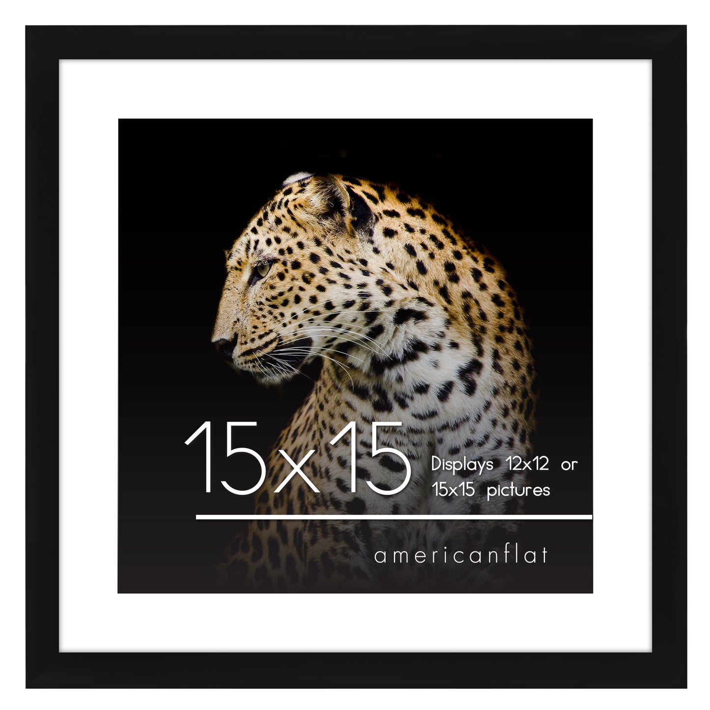Gallery Picture Frame with Mat | Signature Collection