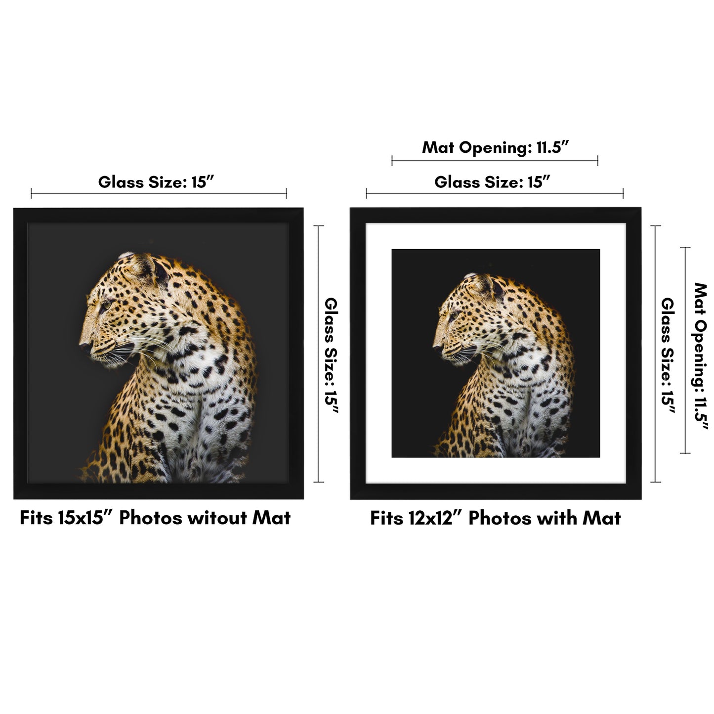 Gallery Picture Frame with Mat | Signature Collection