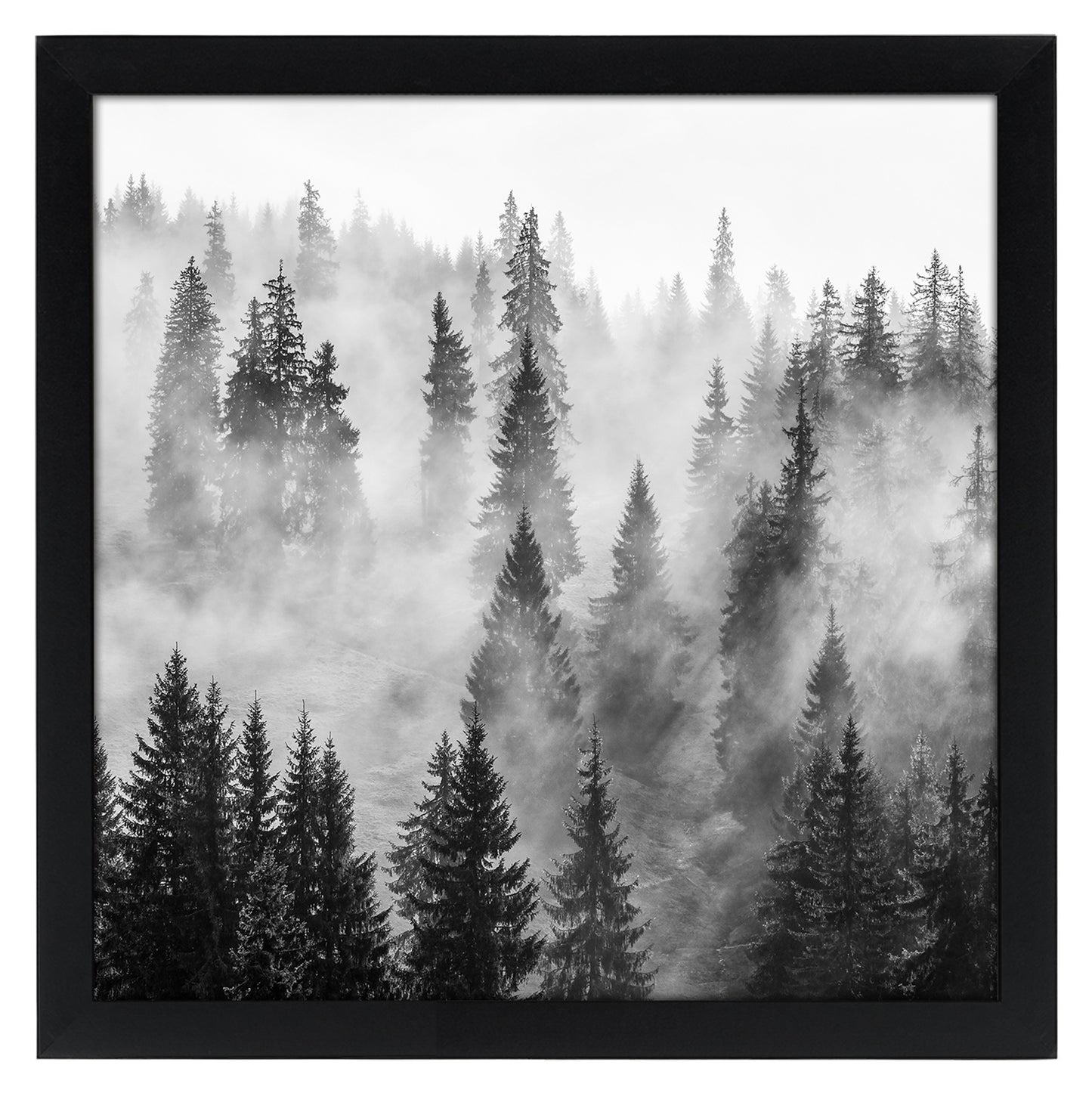 Gallery Poster Frame without Mat | Epic Collection