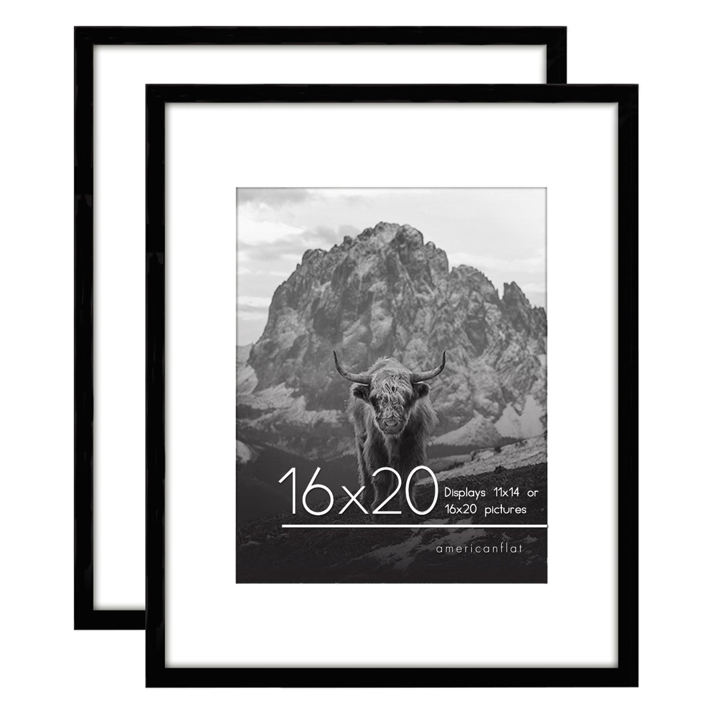 Set of 2 - Classic Gallery Picture Frame with Mat | Galleria Collection