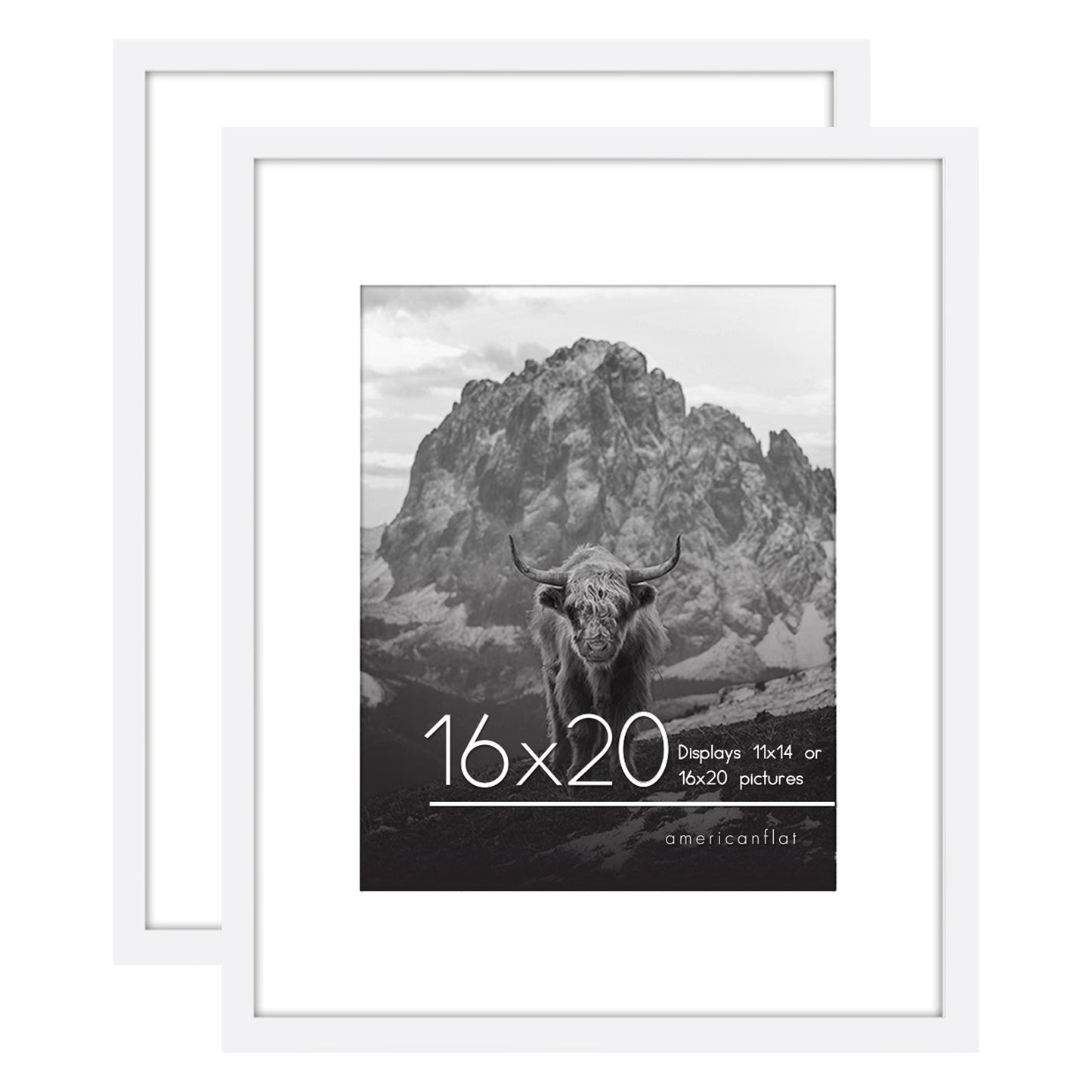 Set of 2 - Classic Gallery Picture Frame with Mat | Galleria Collection