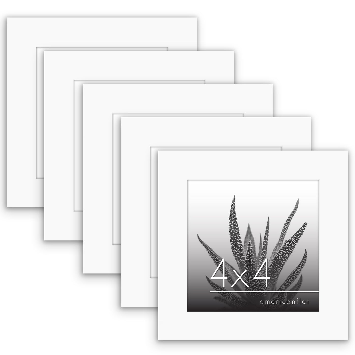 Set of 5 - Classic Gallery Picture Frame without Mat | Galleria Collection