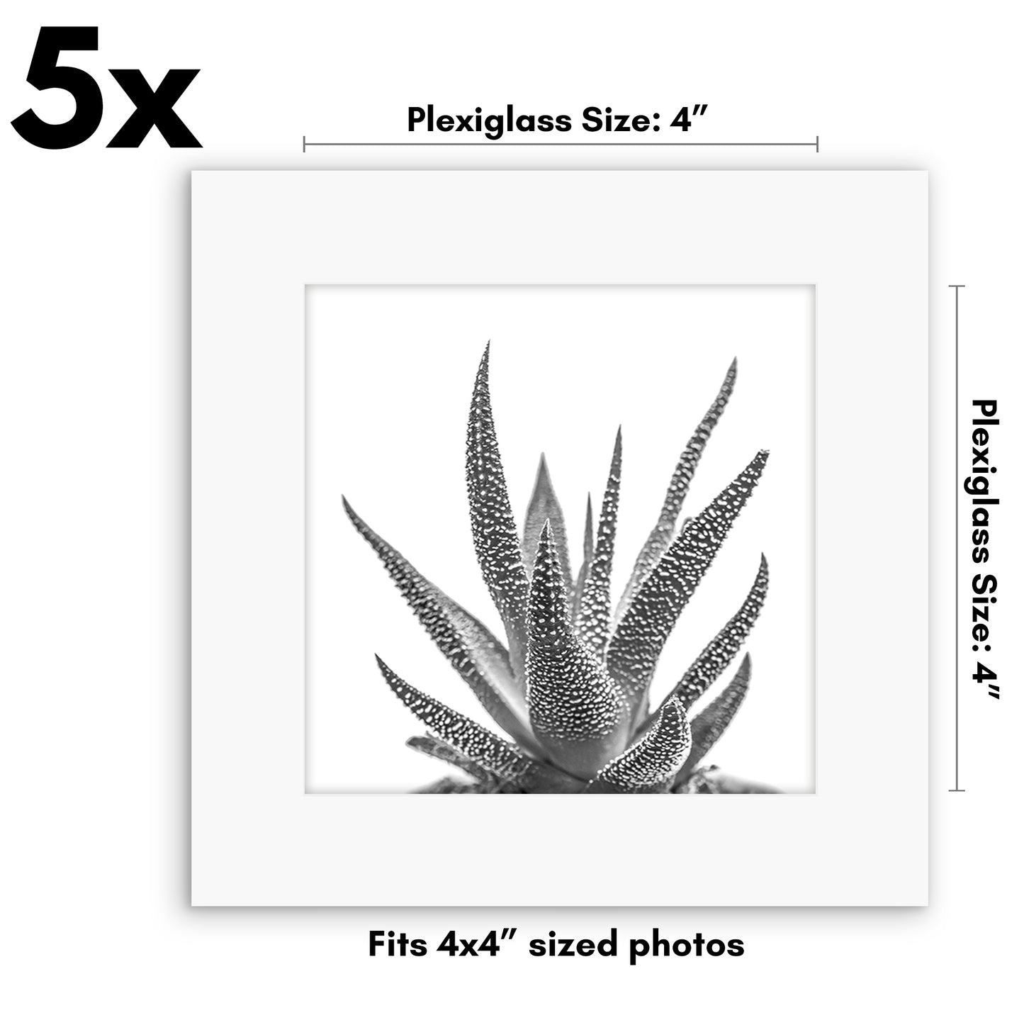 Set of 5 - Classic Gallery Picture Frame without Mat | Galleria Collection