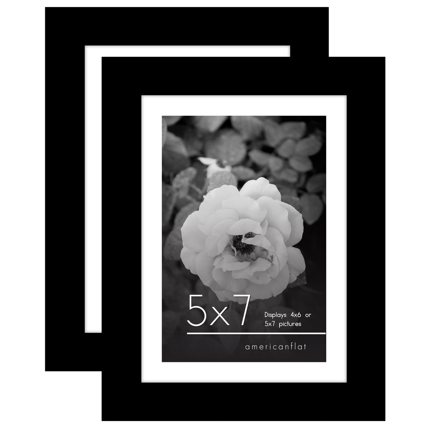 Set of 2 - Classic Gallery Picture Frame with Mat | Galleria Collection