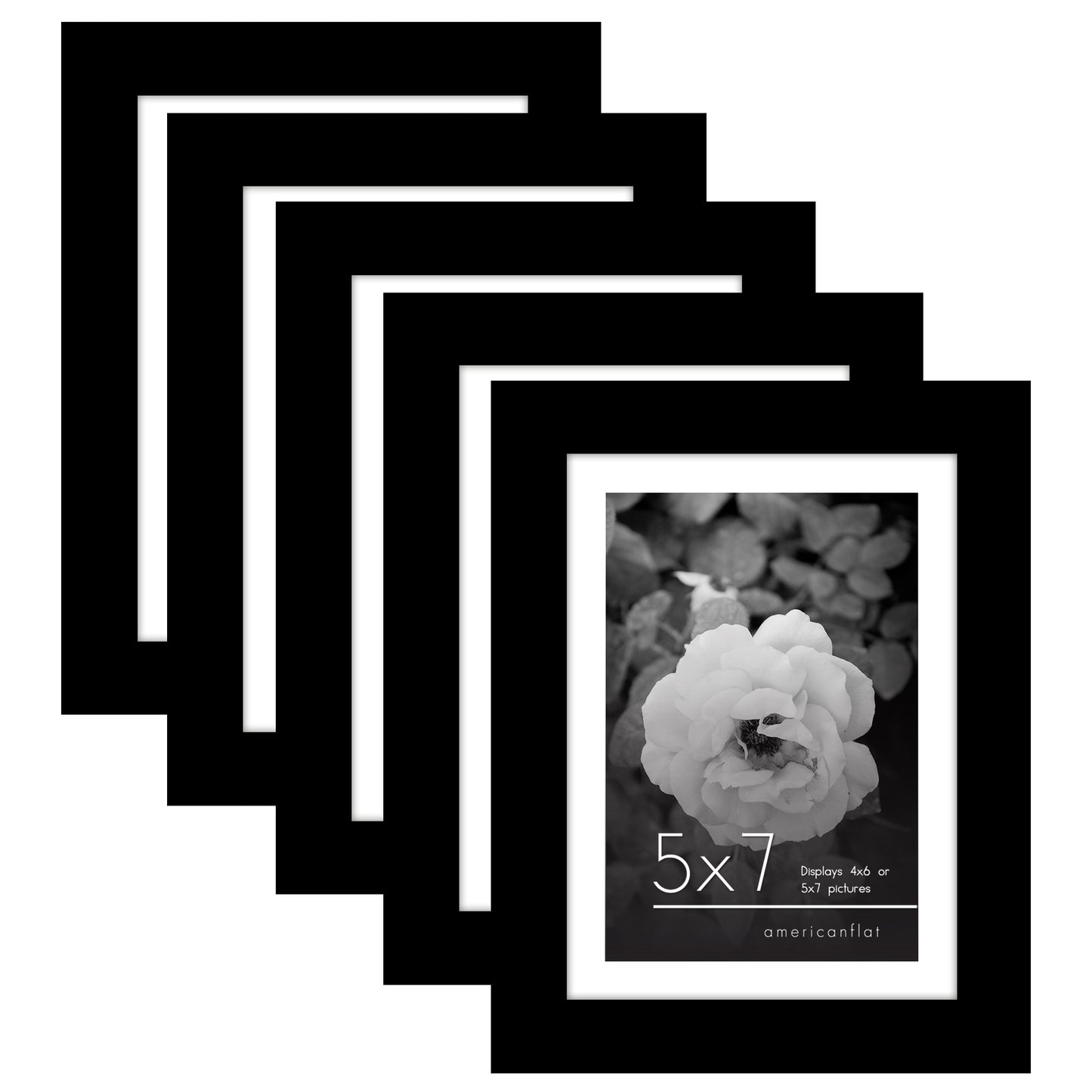 Set of 5 - Classic Gallery Picture Frame with Mat | Galleria Collection