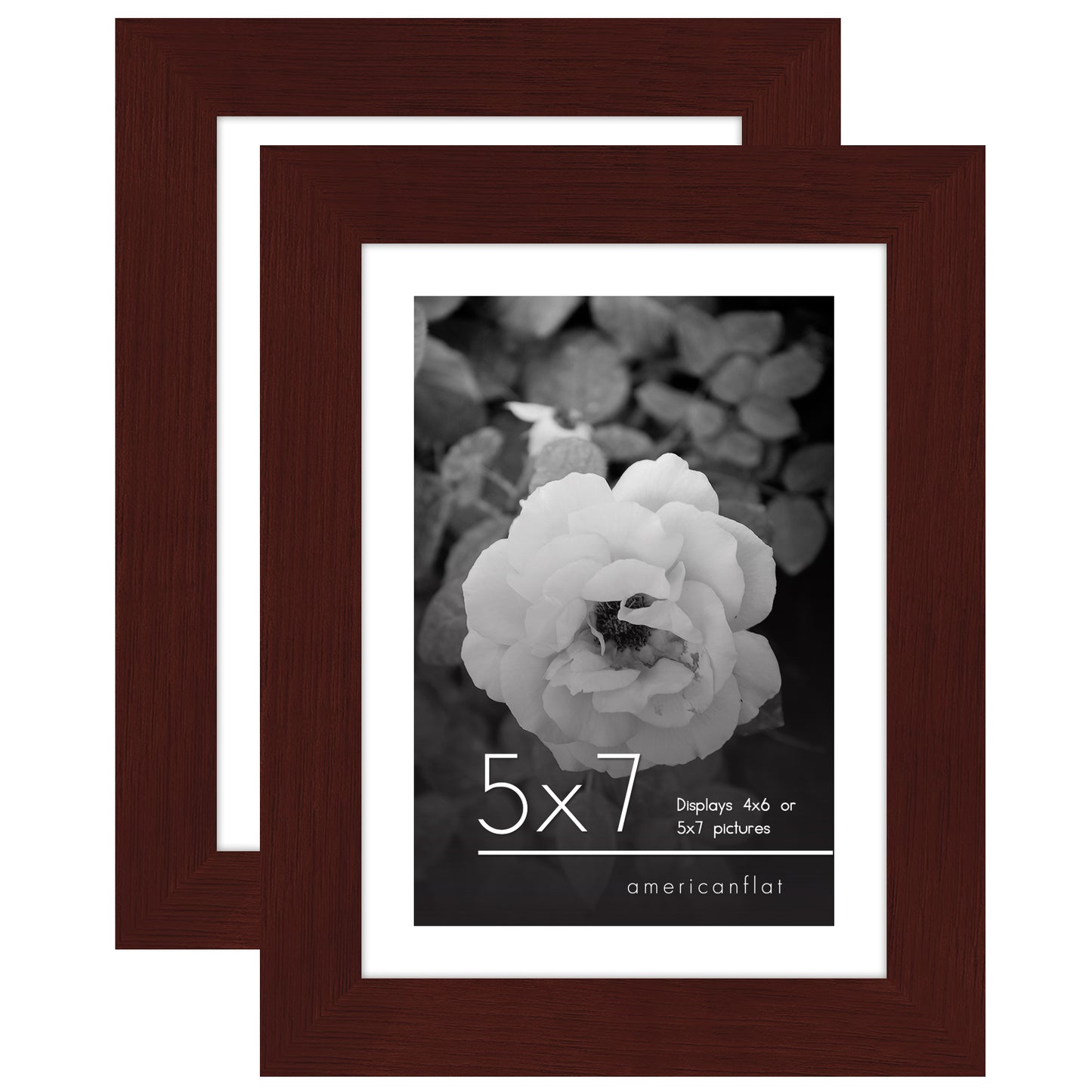 Set of 2 - Classic Gallery Picture Frame with Mat | Galleria Collection