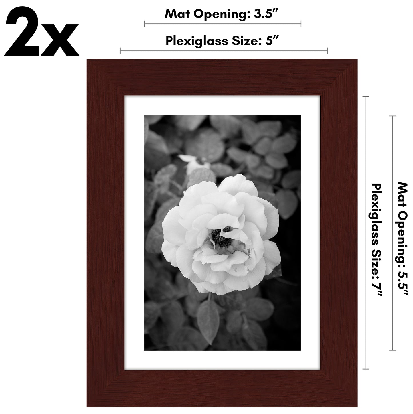 Set of 2 - Classic Gallery Picture Frame with Mat | Galleria Collection