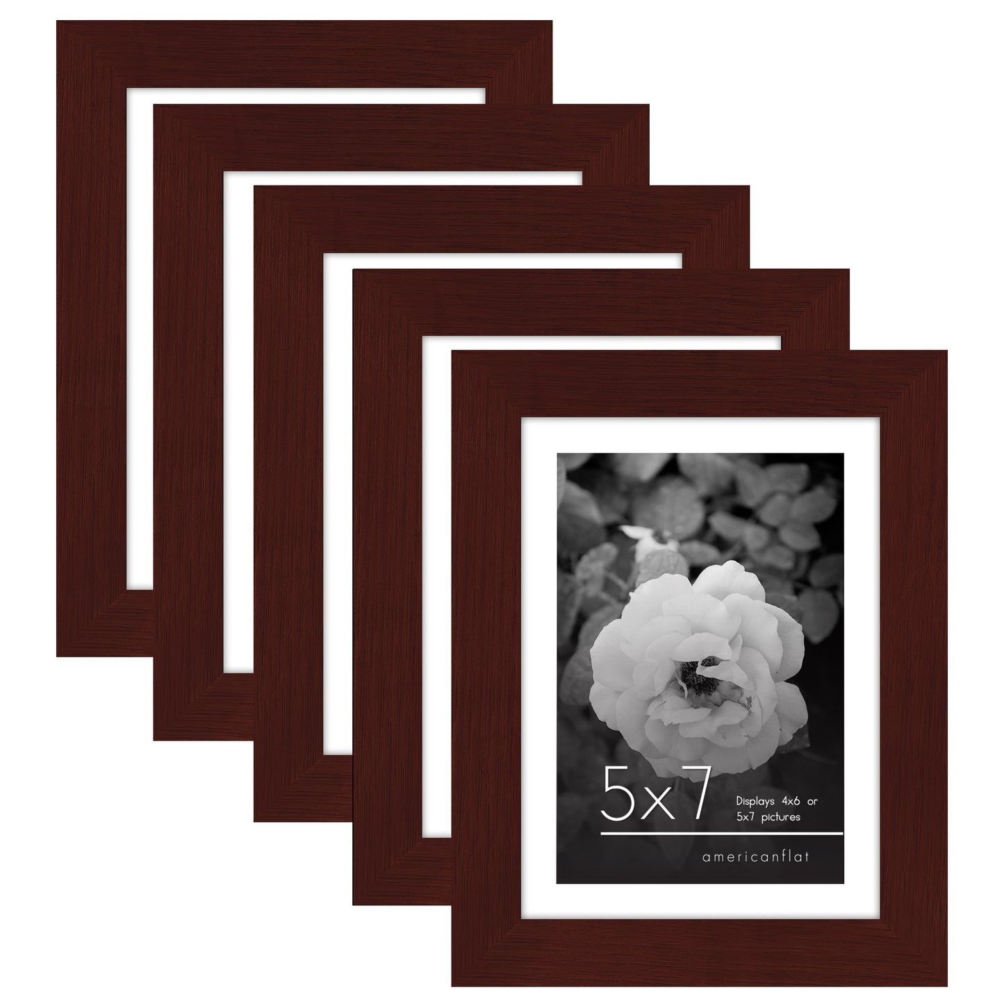 Set of 5 - Classic Gallery Picture Frame with Mat | Galleria Collection