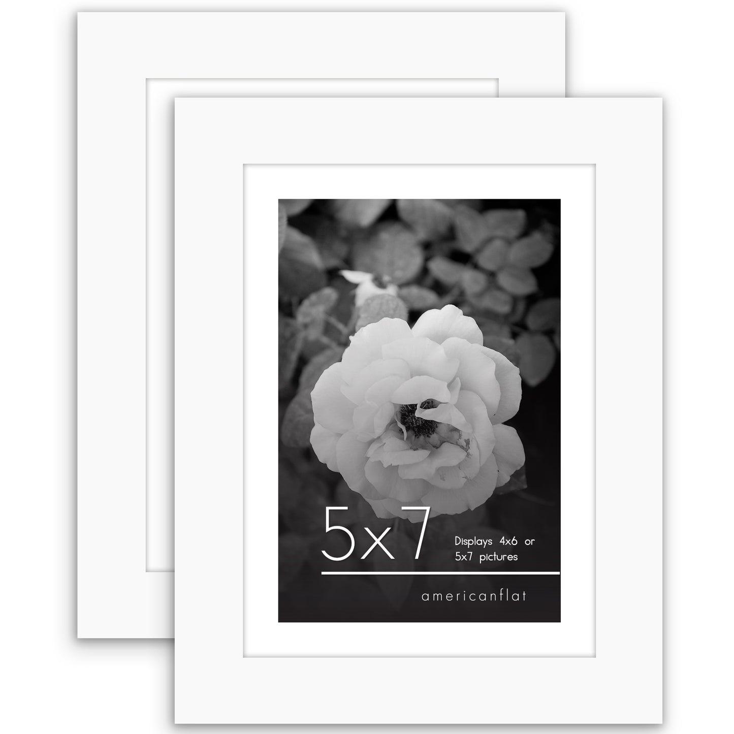 Picture Frame - Set of 2 - with Mat or Without Mat - Plexiglass Cover and Hanging Hardware included