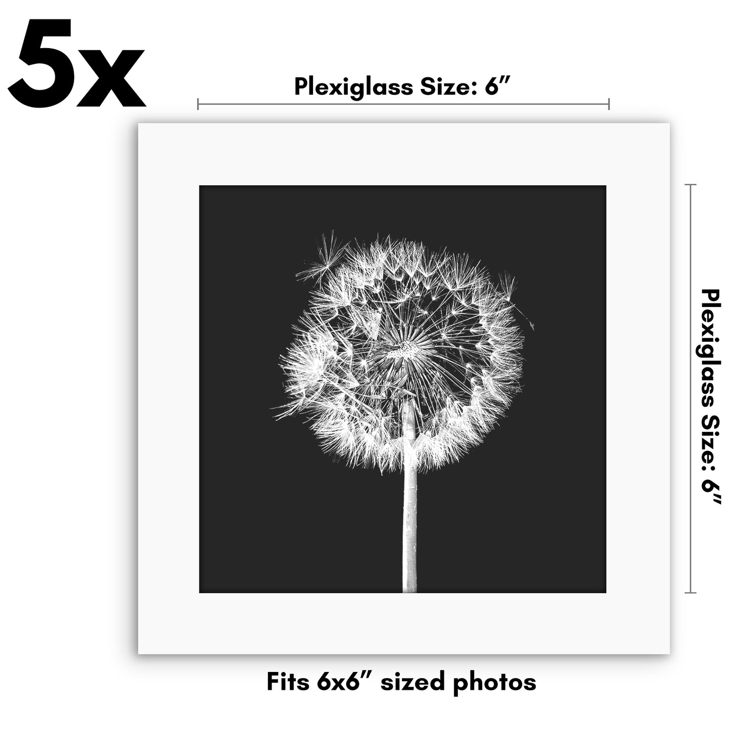 Set of 5 - Classic Gallery Picture Frame without Mat | Galleria Collection