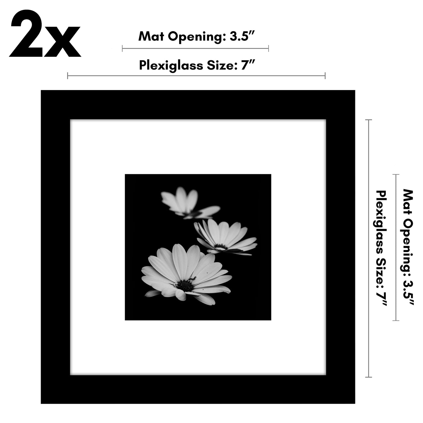 Set of 2 - Classic Gallery Picture Frame with Mat | Galleria Collection
