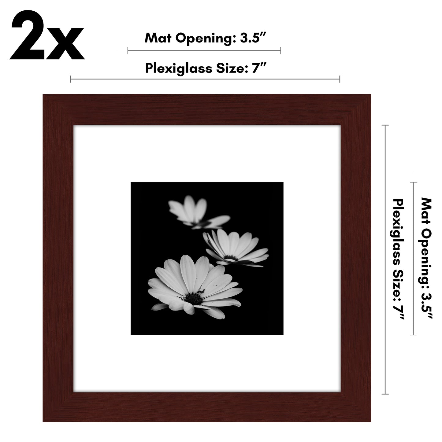 Picture Frame - Set of 2 - with Mat or Without Mat - Plexiglass Cover and Hanging Hardware included