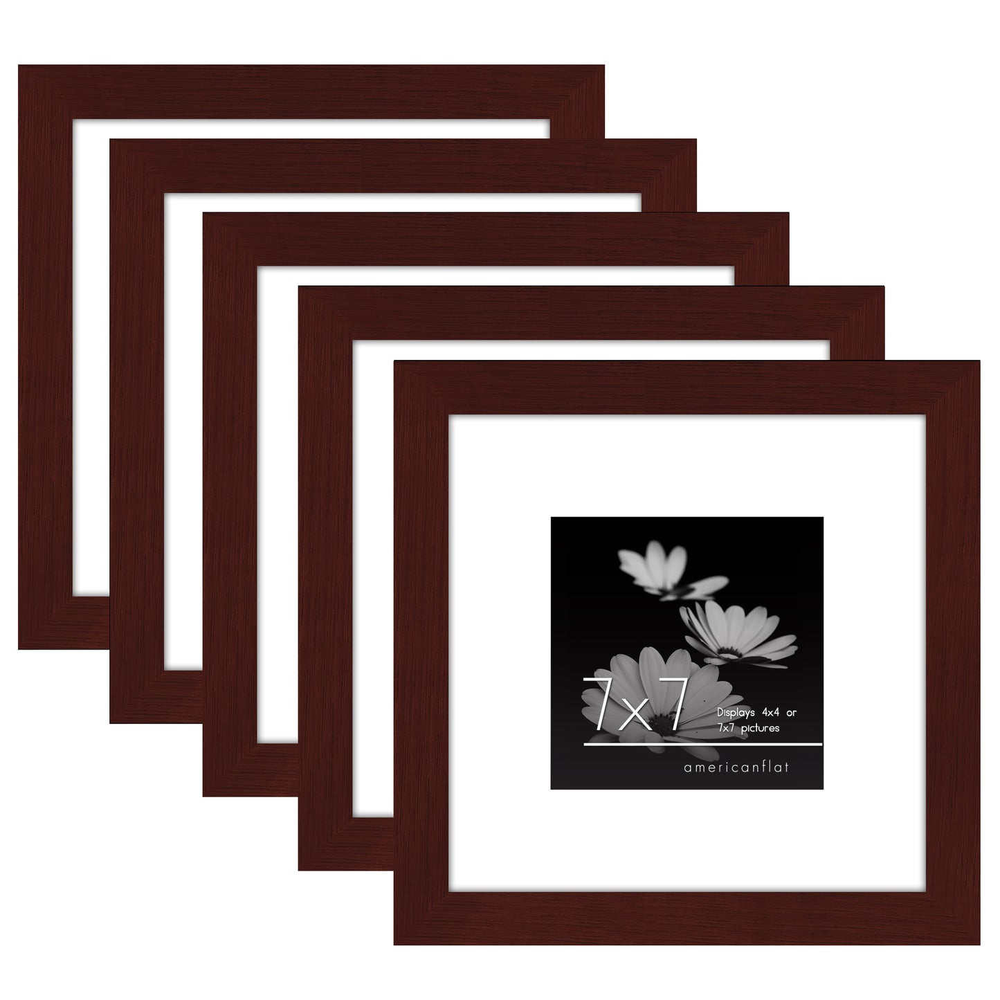 Set of 5 - Classic Gallery Picture Frame with Mat | Galleria Collection