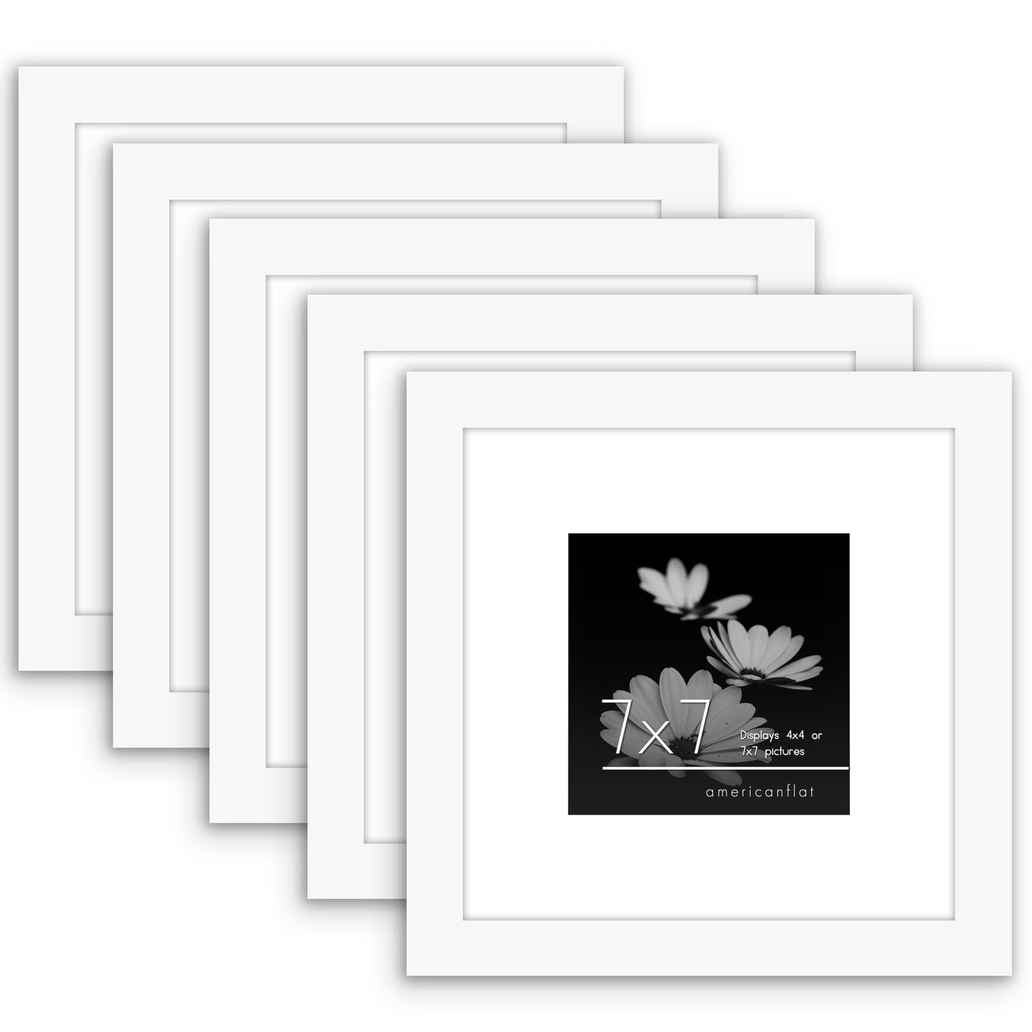 Set of 5 - Classic Gallery Picture Frame with Mat | Galleria Collection