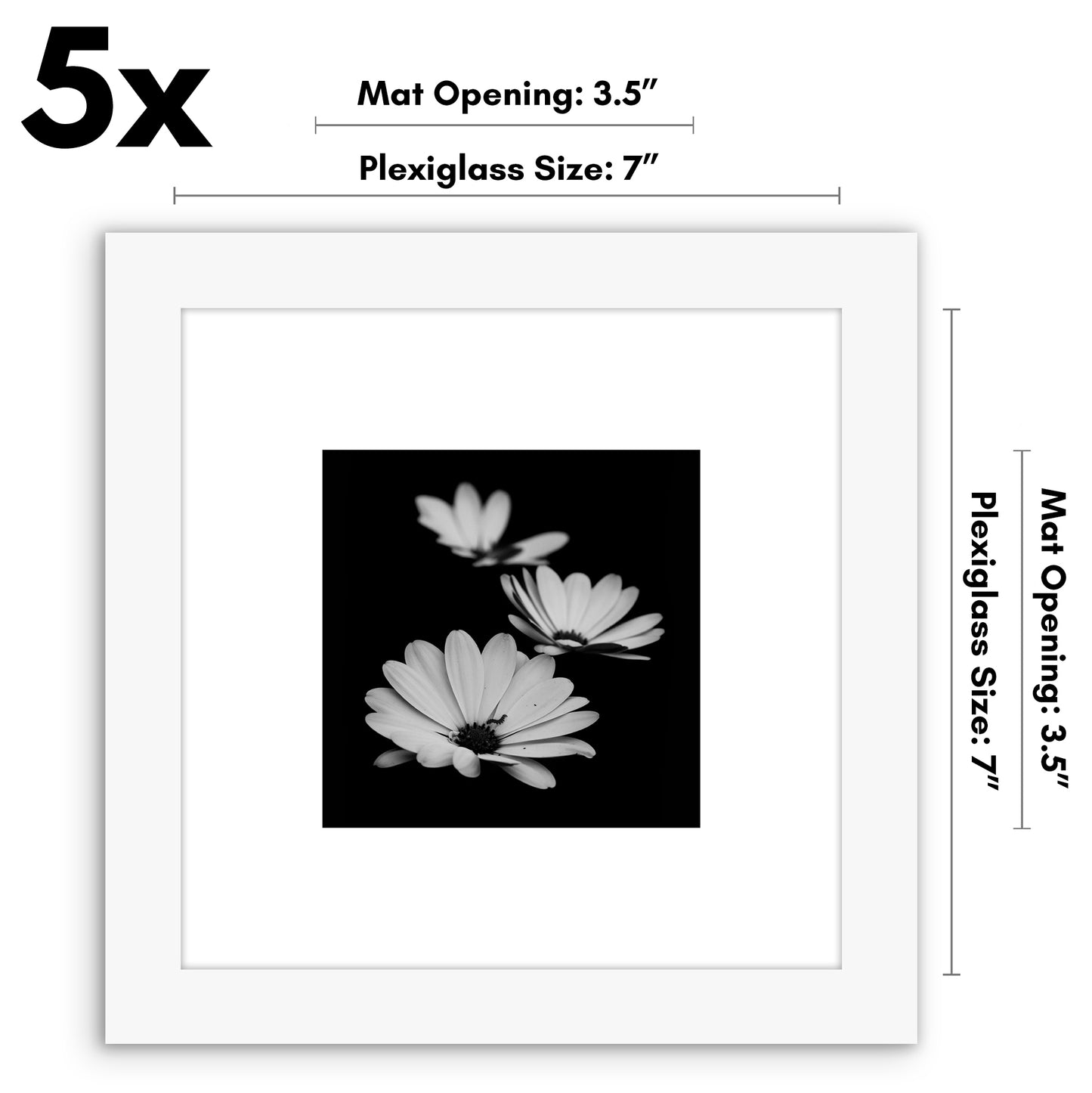 Set of 5 - Classic Gallery Picture Frame with Mat | Galleria Collection