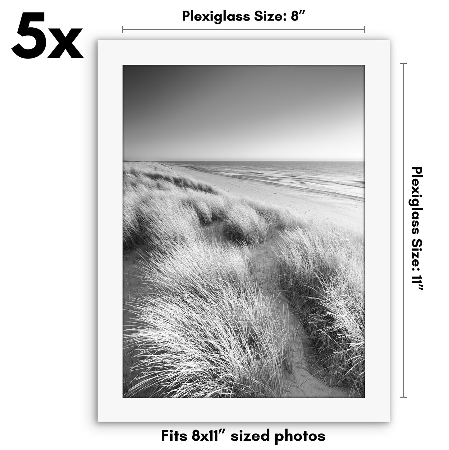 Set of 5 - Classic Gallery Picture Frame without Mat | Galleria Collection