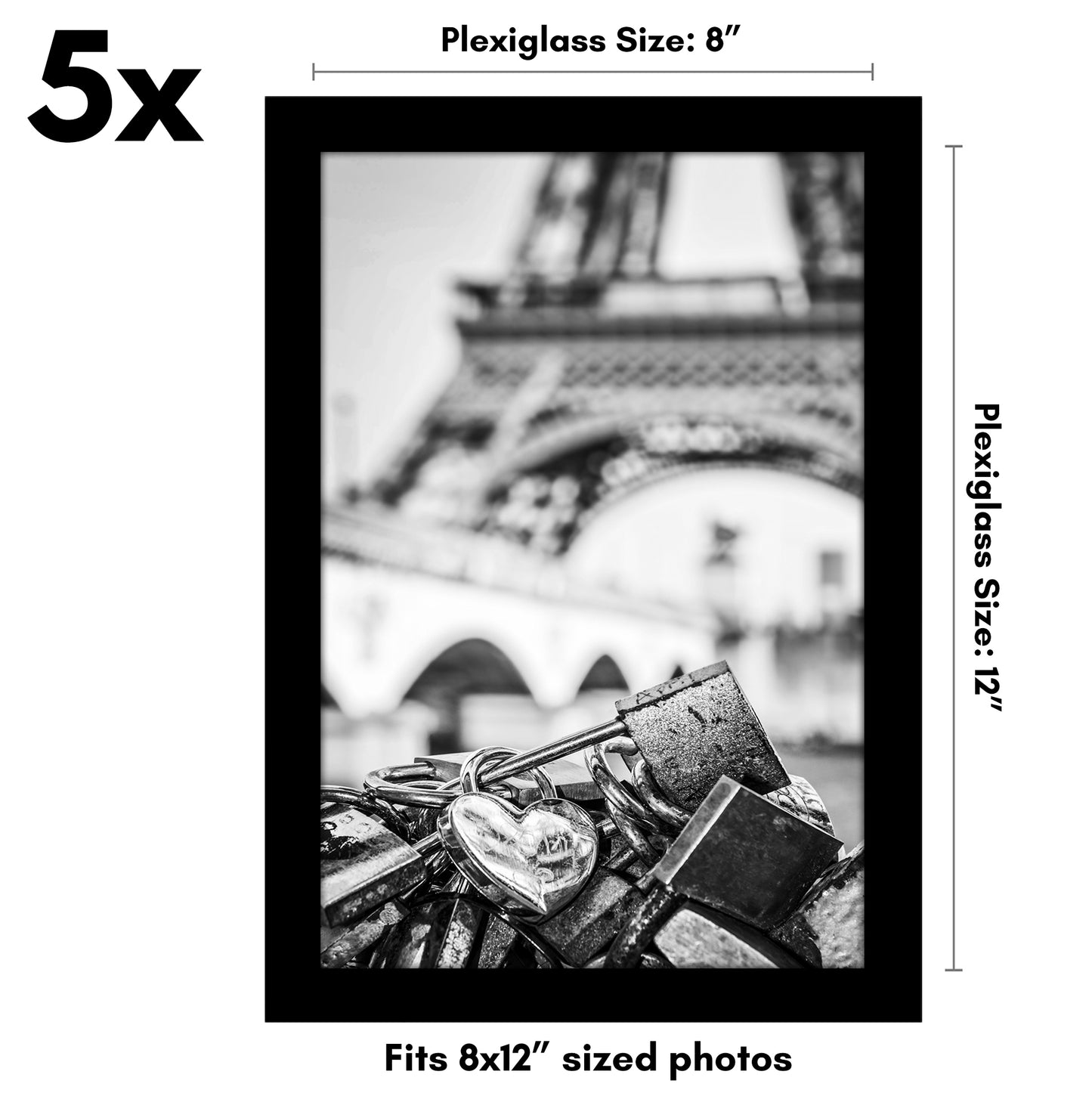 Set of 5 - Classic Gallery Picture Frame without Mat | Galleria Collection