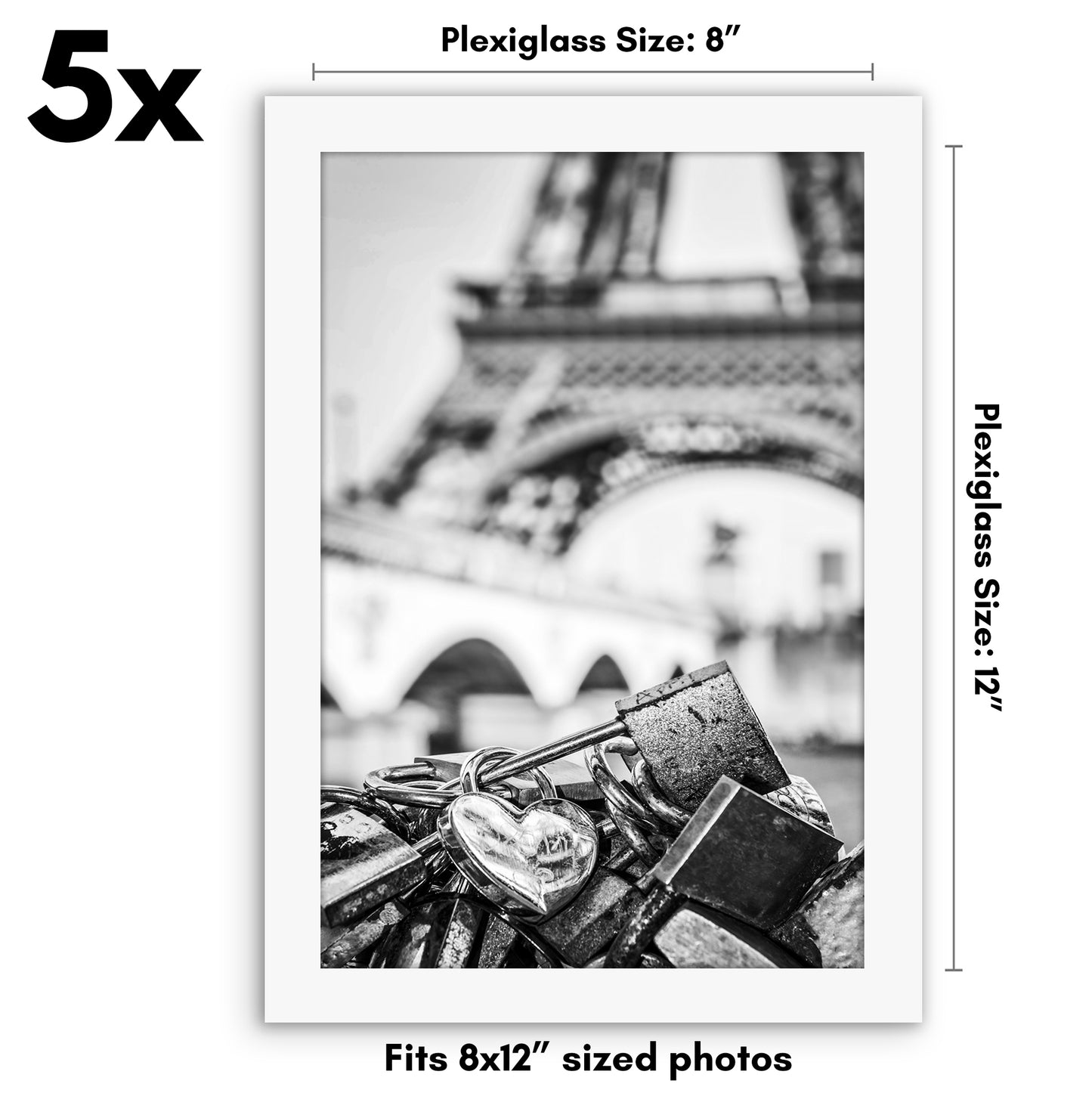 Set of 5 - Classic Gallery Picture Frame without Mat | Galleria Collection