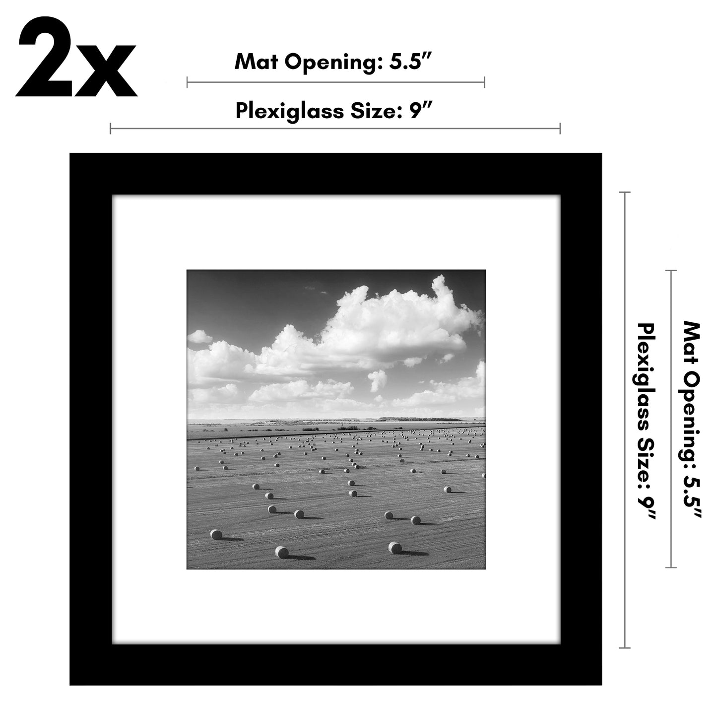 Picture Frame - Set of 2 - with Mat or Without Mat - Plexiglass Cover and Hanging Hardware included