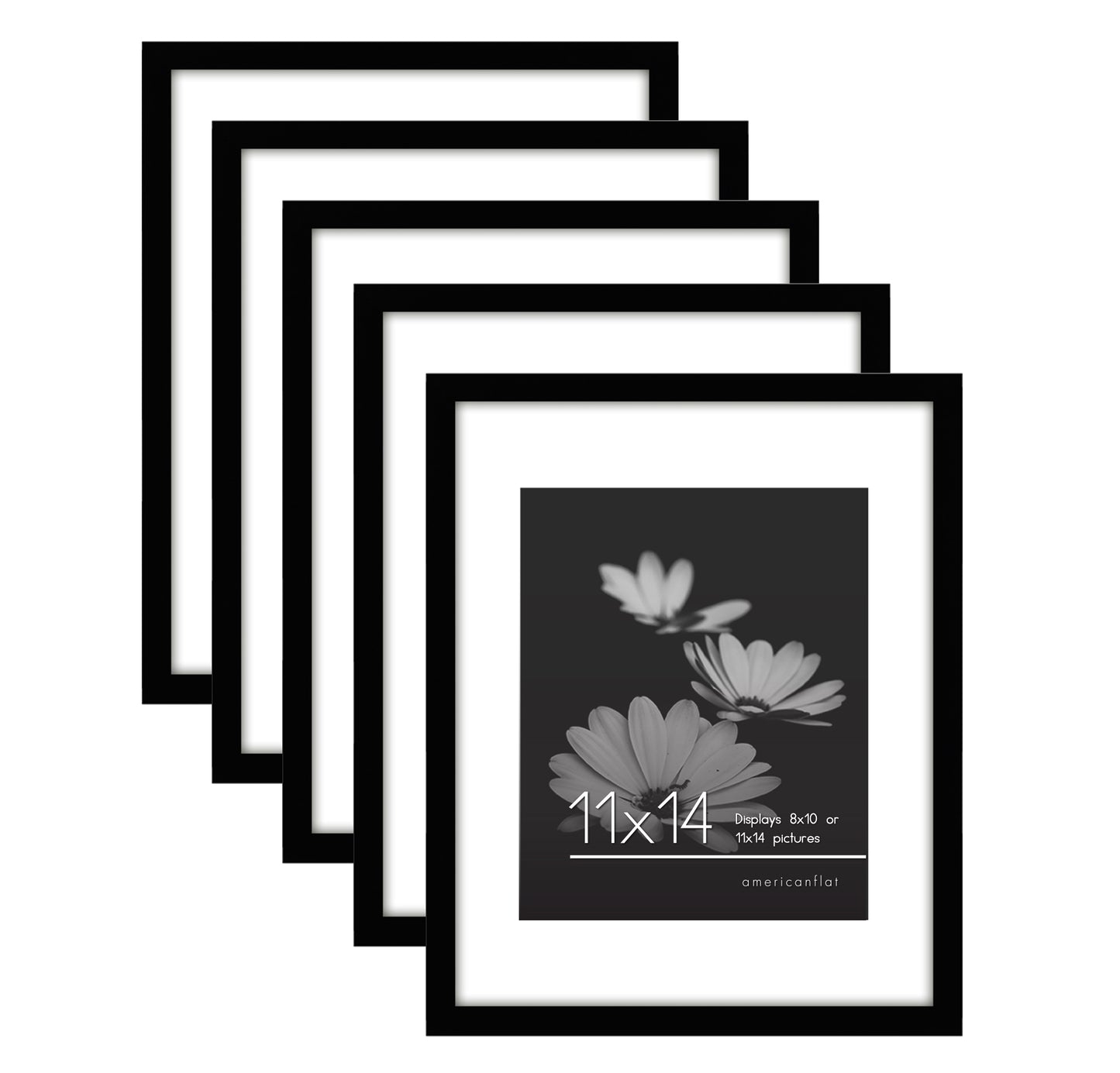 Set of 5 - Classic Gallery Picture Frame with Mat | Galleria Collection