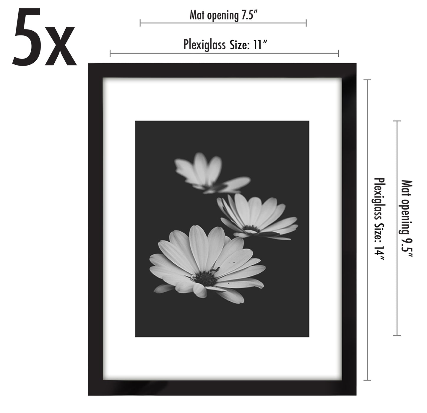 Set of 5 - Classic Gallery Picture Frame with Mat | Galleria Collection