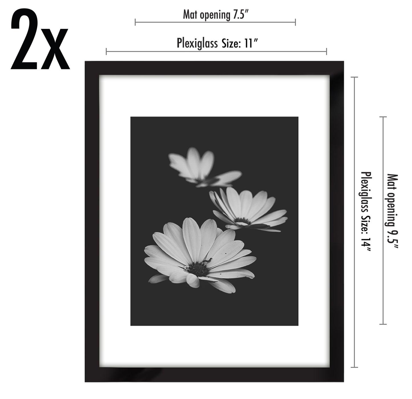 Set of 2 - Classic Gallery Picture Frame with Mat | Galleria Collection