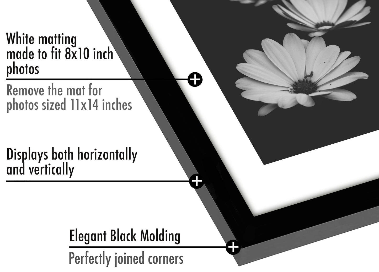 Picture Frame - Set of 2 - with Mat or Without Mat - Plexiglass Cover and Hanging Hardware included