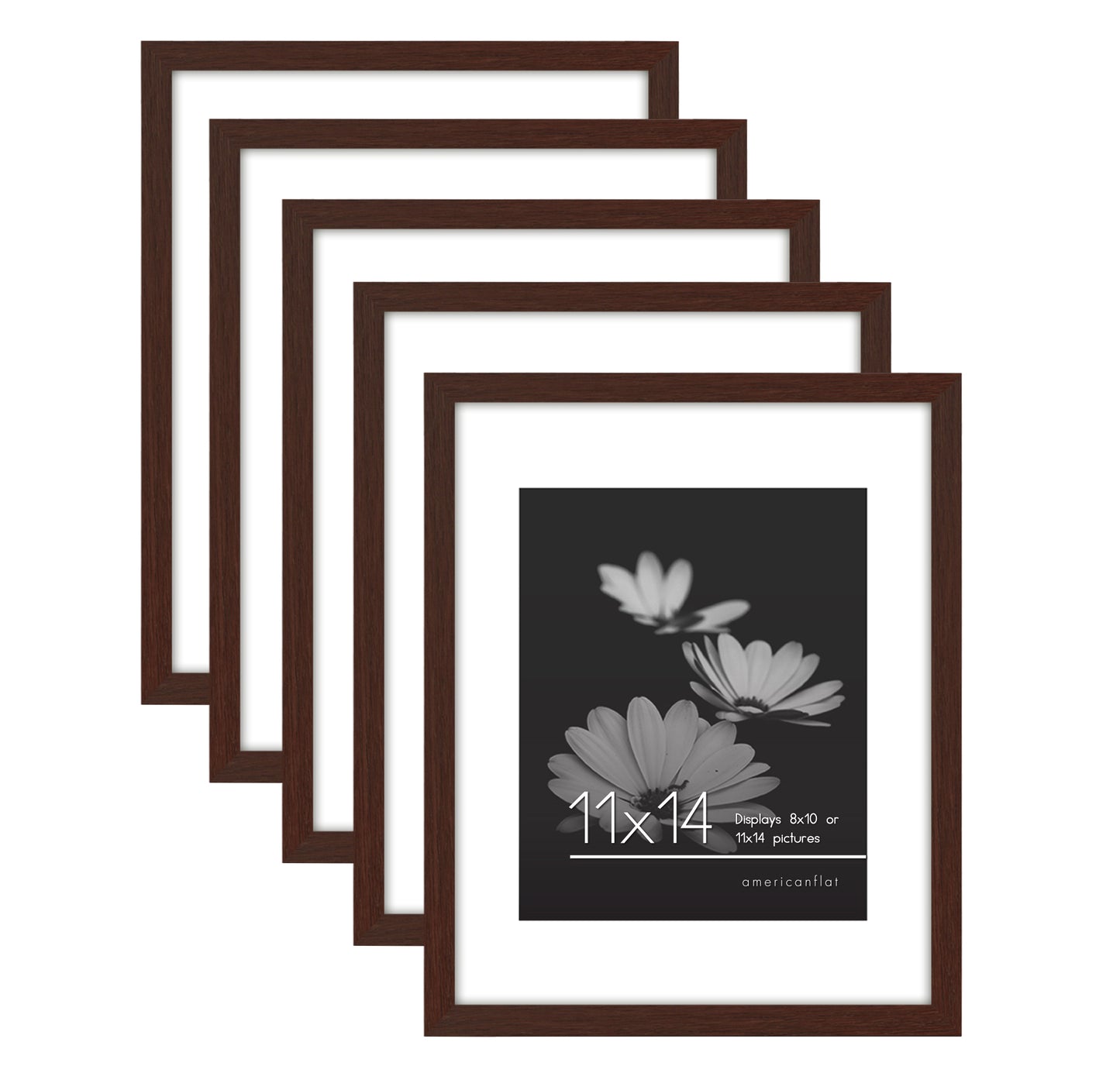 Set of 5 - Classic Gallery Picture Frame with Mat | Galleria Collection