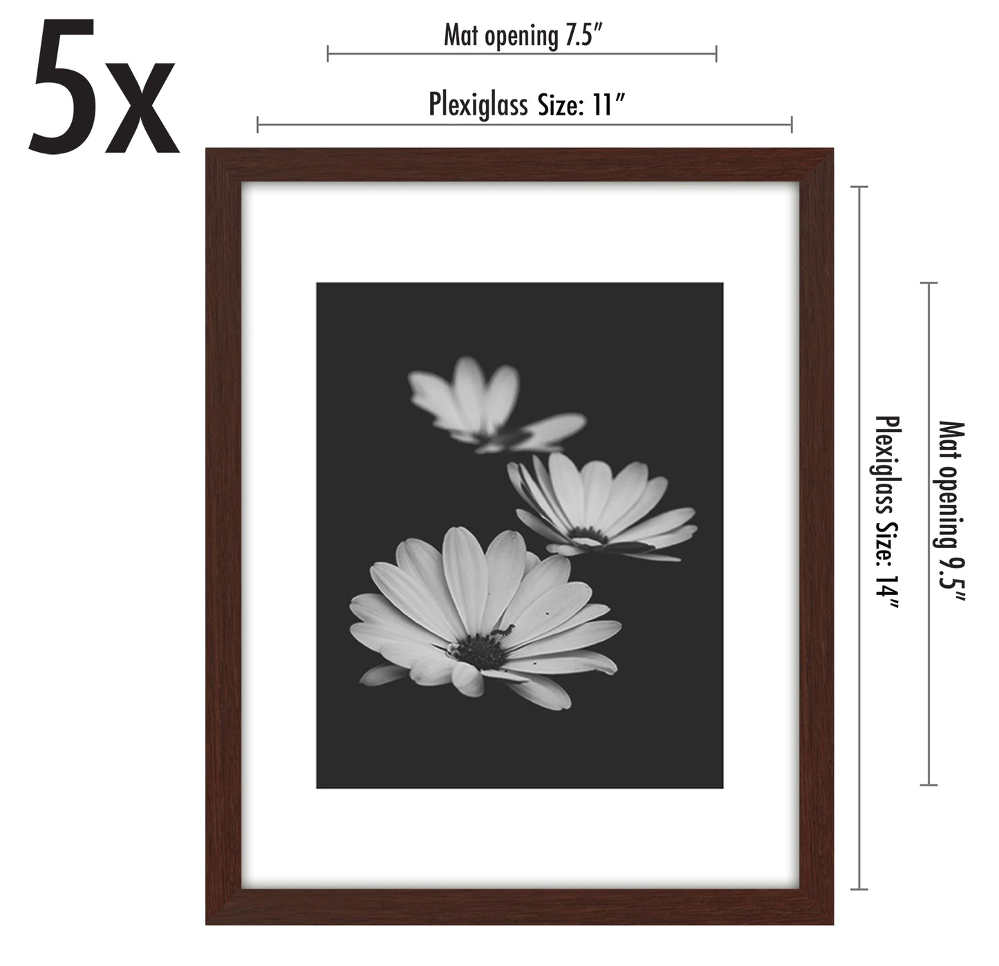 Set of 5 - Classic Gallery Picture Frame with Mat | Galleria Collection