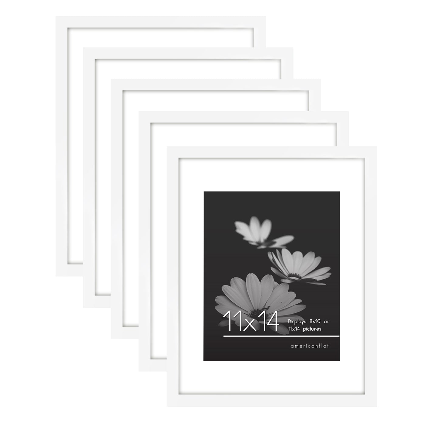 Set of 5 - Classic Gallery Picture Frame with Mat | Galleria Collection