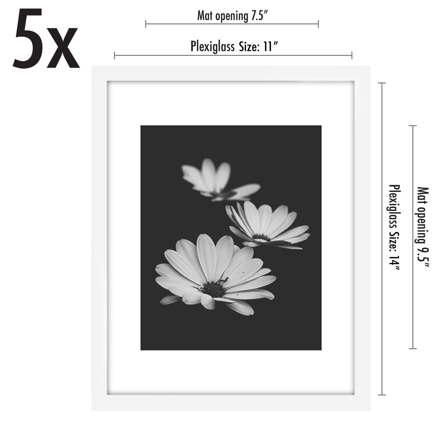 Set of 5 - Classic Gallery Picture Frame with Mat | Galleria Collection