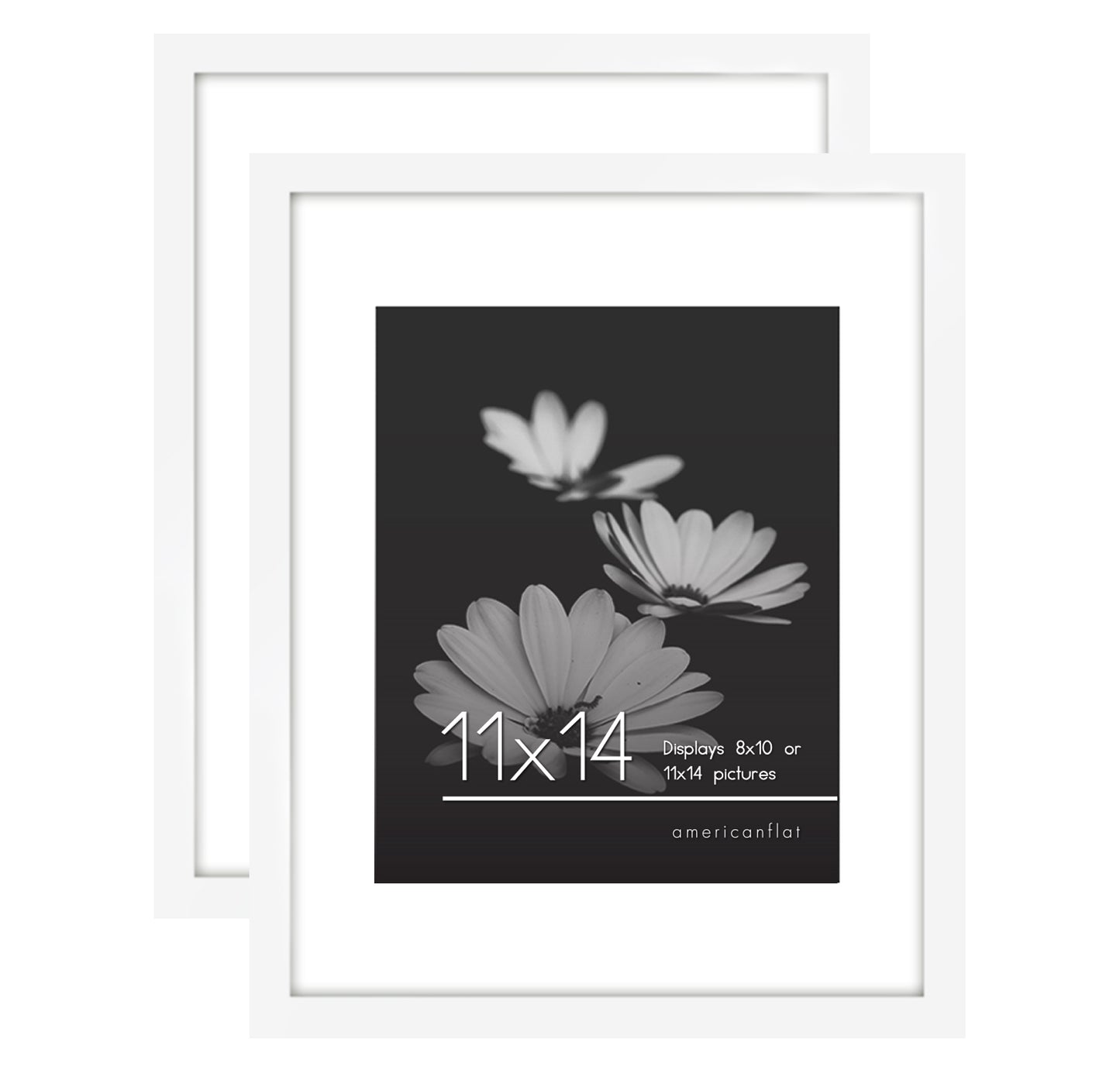 Set of 2 - Classic Gallery Picture Frame with Mat | Galleria Collection