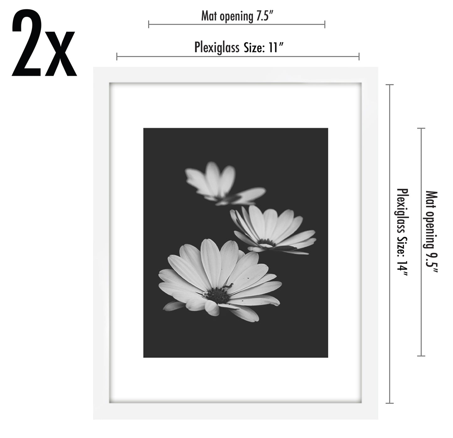 Set of 2 - Classic Gallery Picture Frame with Mat | Galleria Collection