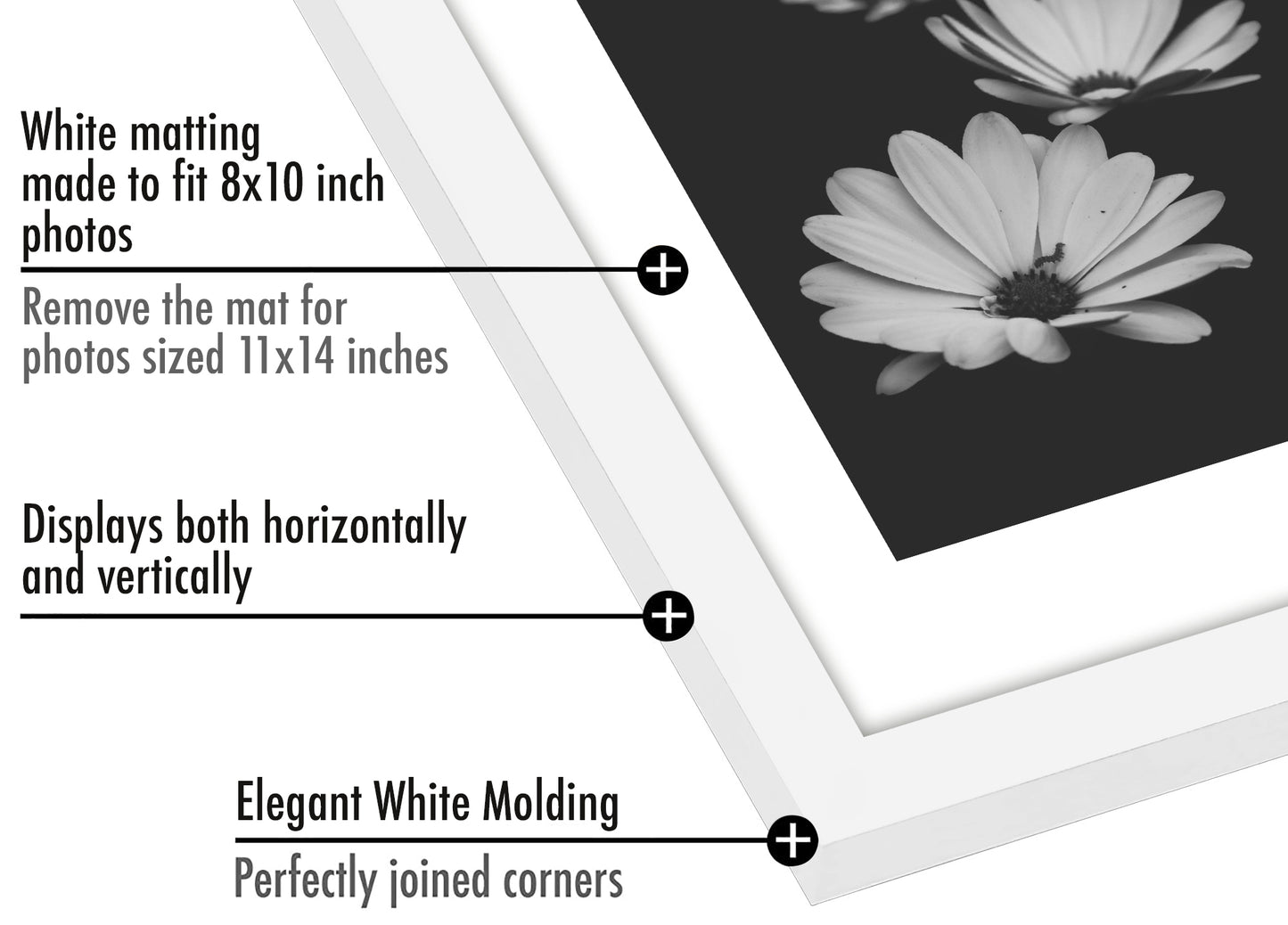 Picture Frame - Set of 2 - with Mat or Without Mat - Plexiglass Cover and Hanging Hardware included