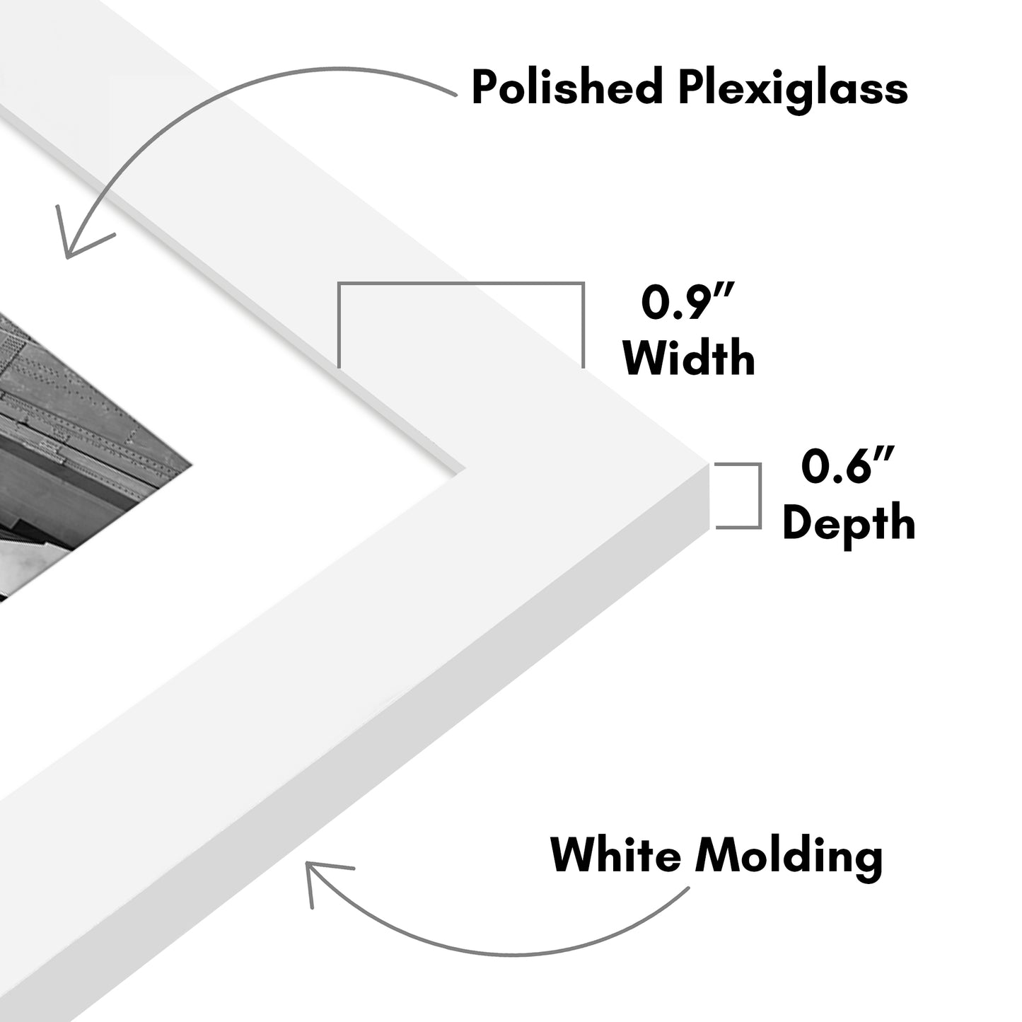 Picture Frame - Set of 2 - with Mat or Without Mat - Plexiglass Cover and Hanging Hardware included