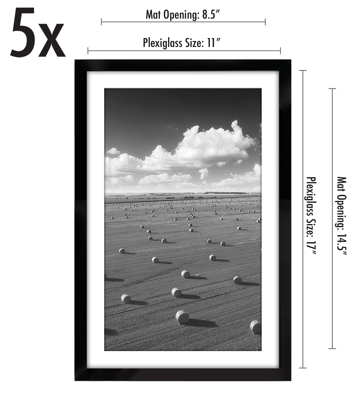 Set of 5 - Classic Gallery Picture Frame with Mat | Galleria Collection