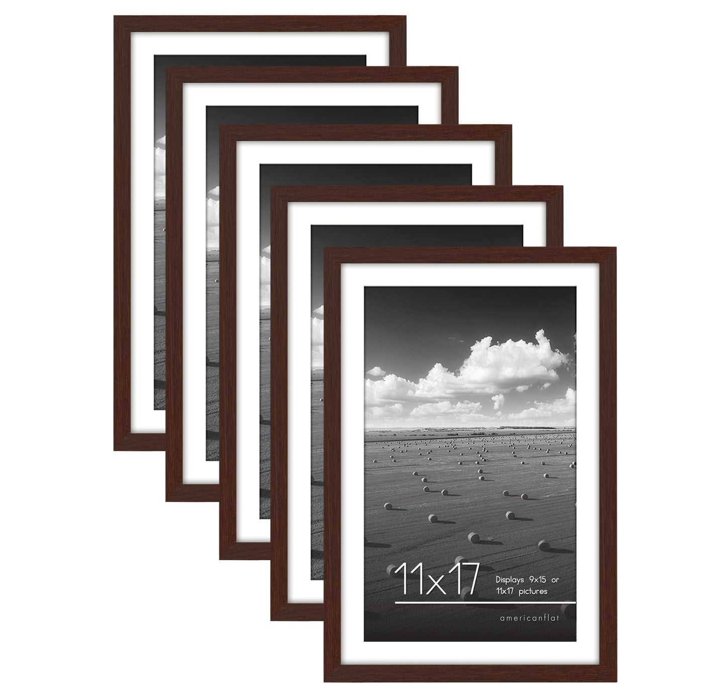 Set of 5 - Classic Gallery Picture Frame with Mat | Galleria Collection