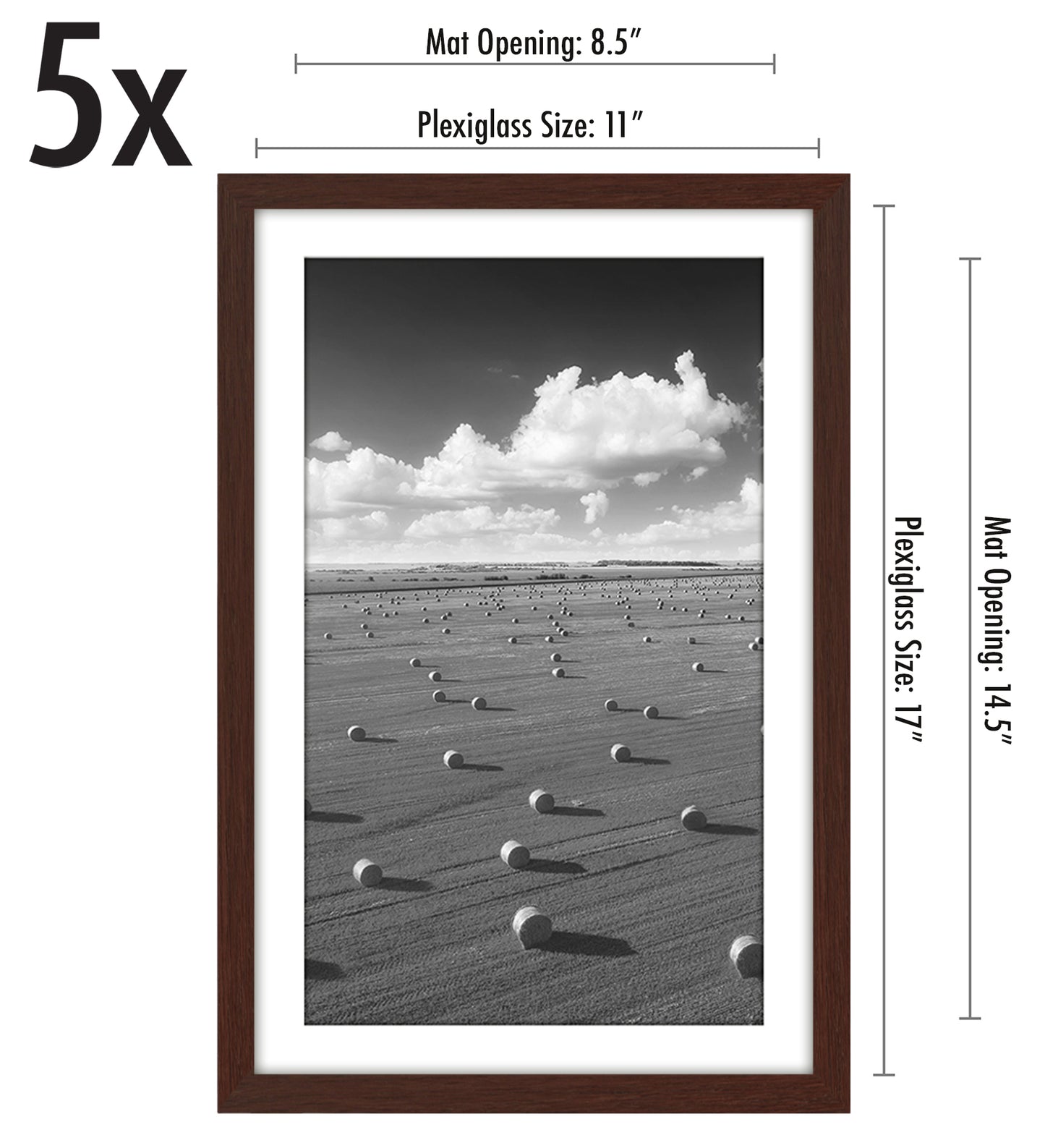 Set of 5 - Classic Gallery Picture Frame with Mat | Galleria Collection