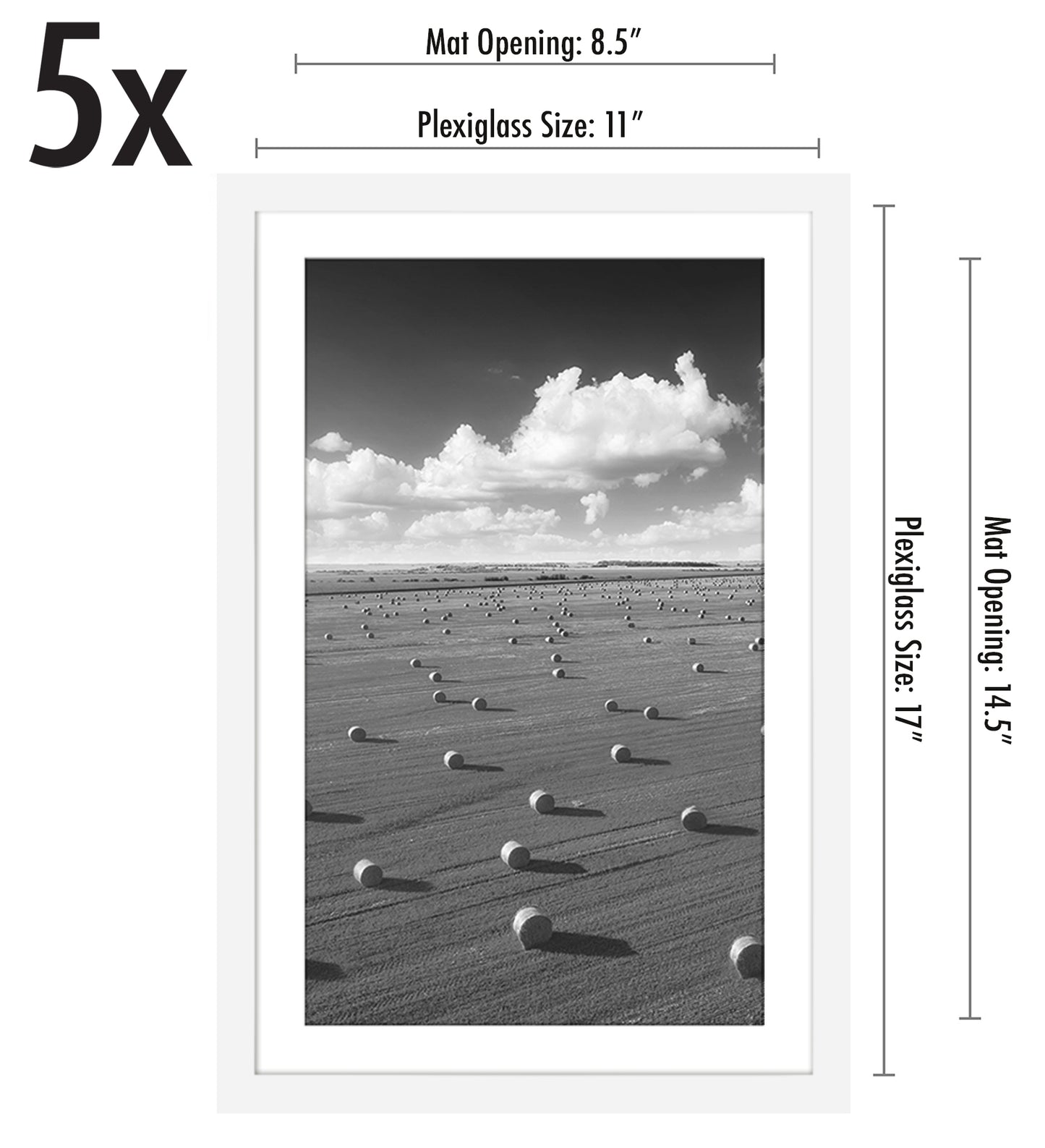 Set of 5 - Classic Gallery Picture Frame with Mat | Galleria Collection