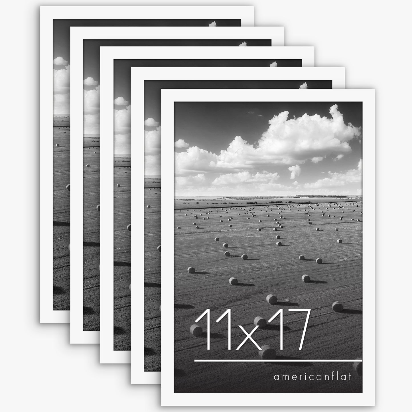 Set of 5 - Classic Gallery Picture Frame without Mat | Galleria Collection
