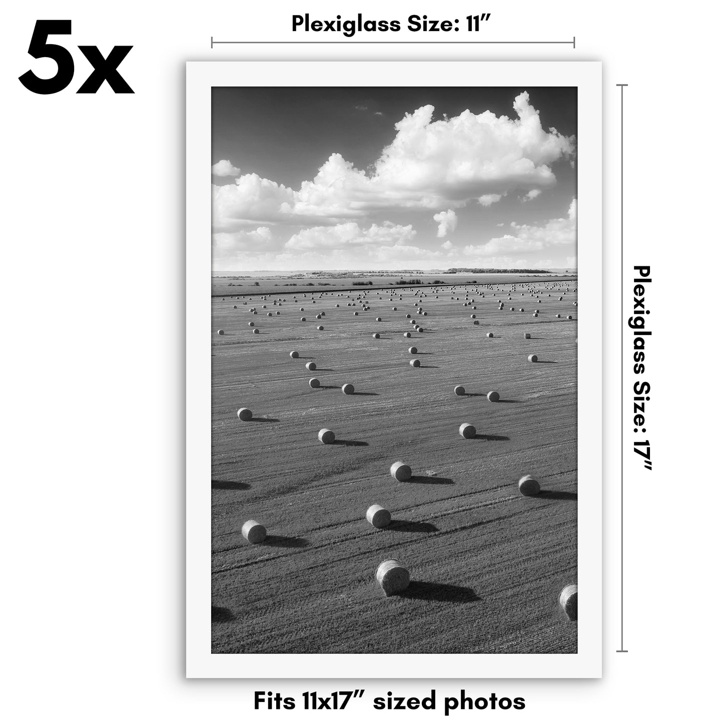 Set of 5 - Classic Gallery Picture Frame without Mat | Galleria Collection