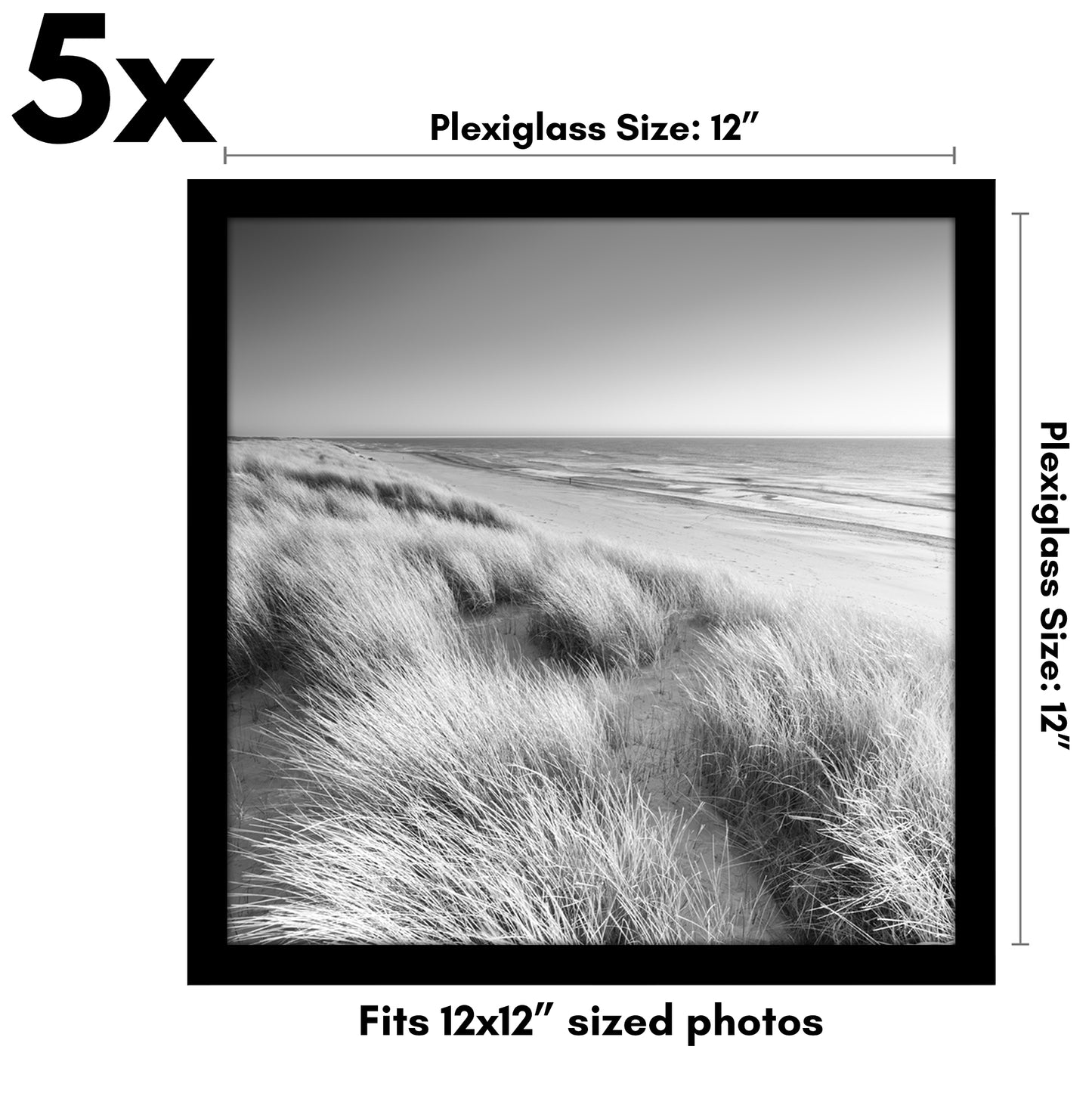 Set of 5 - Classic Gallery Picture Frame without Mat | Galleria Collection