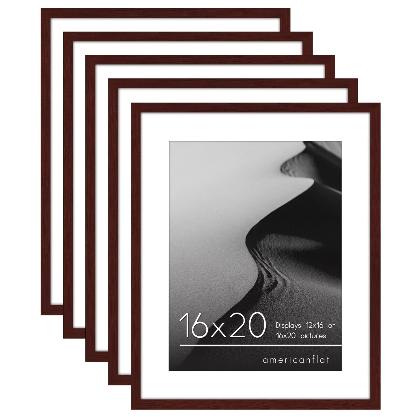 Set of 5 - Classic Gallery Picture Frame with Mat | Galleria Collection