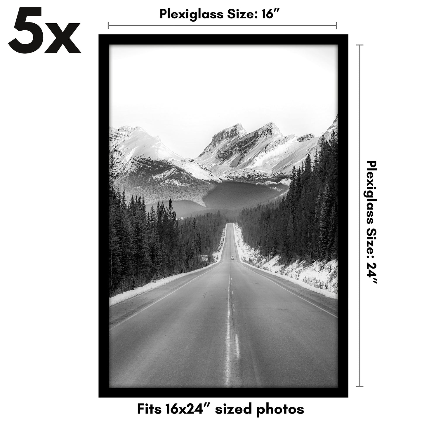 Set of 5 - Classic Gallery Picture Frame without Mat | Galleria Collection