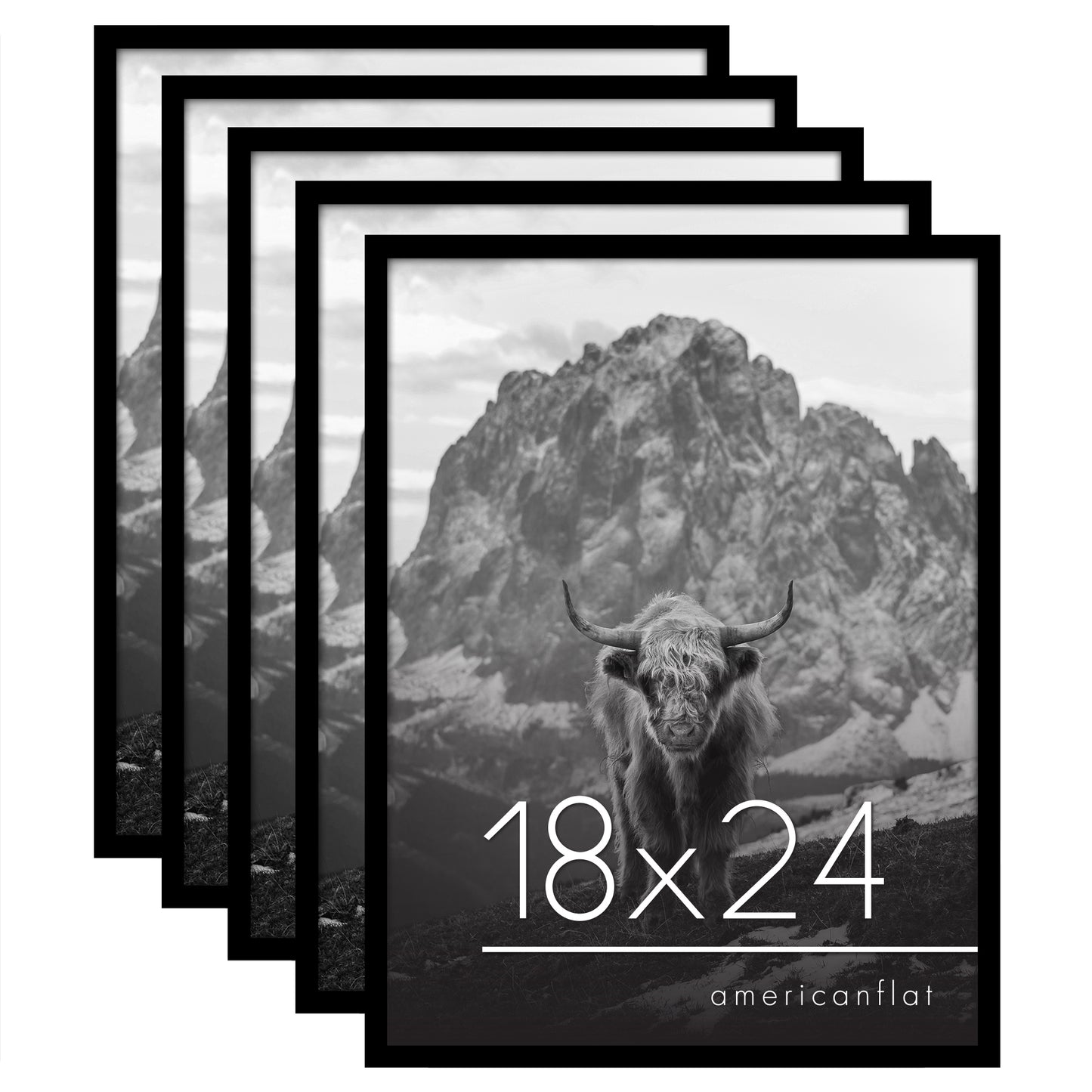 Set of 5 - Classic Gallery Picture Frame without Mat | Galleria Collection