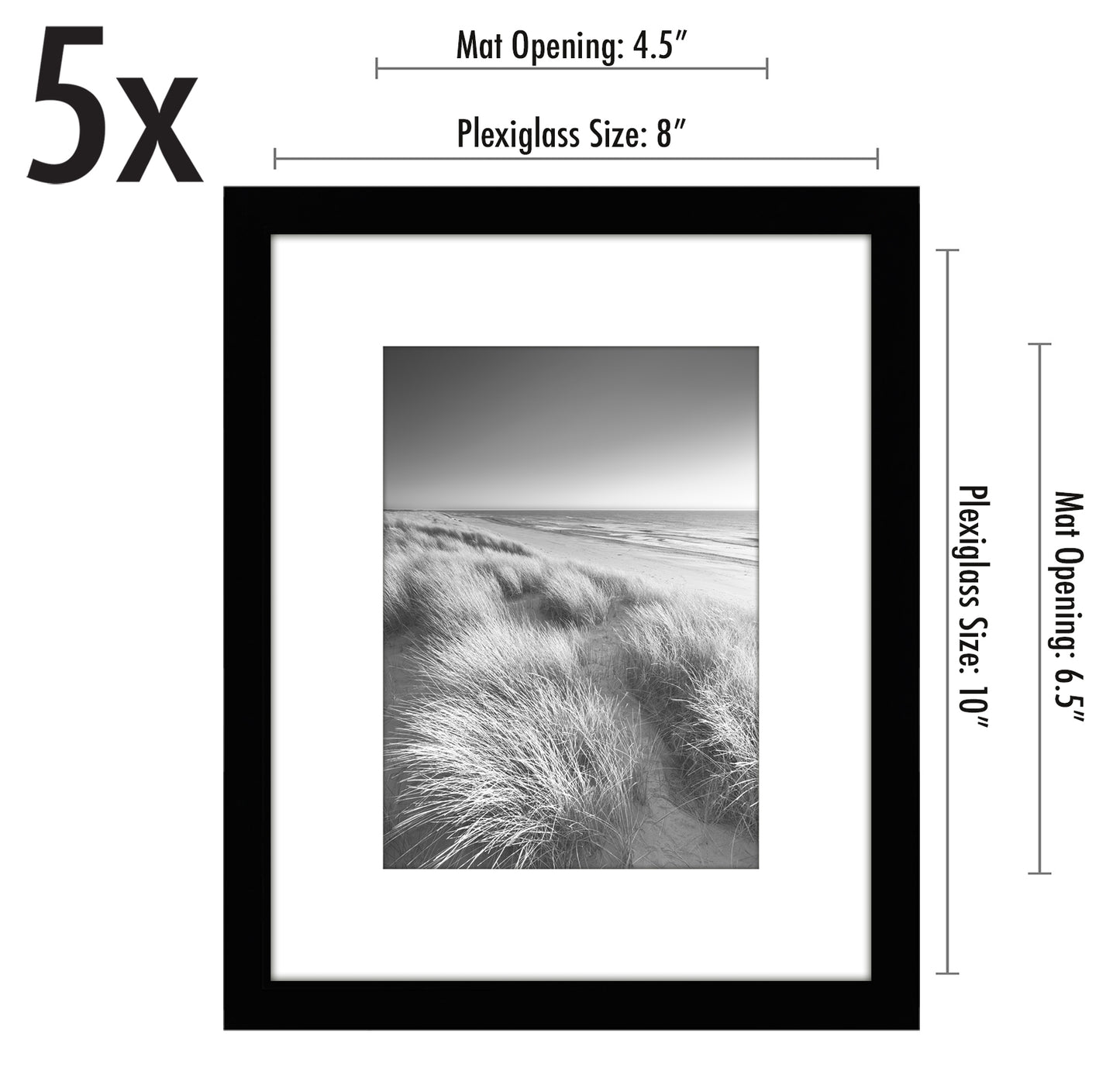 Set of 5 - Classic Gallery Picture Frame with Mat | Galleria Collection