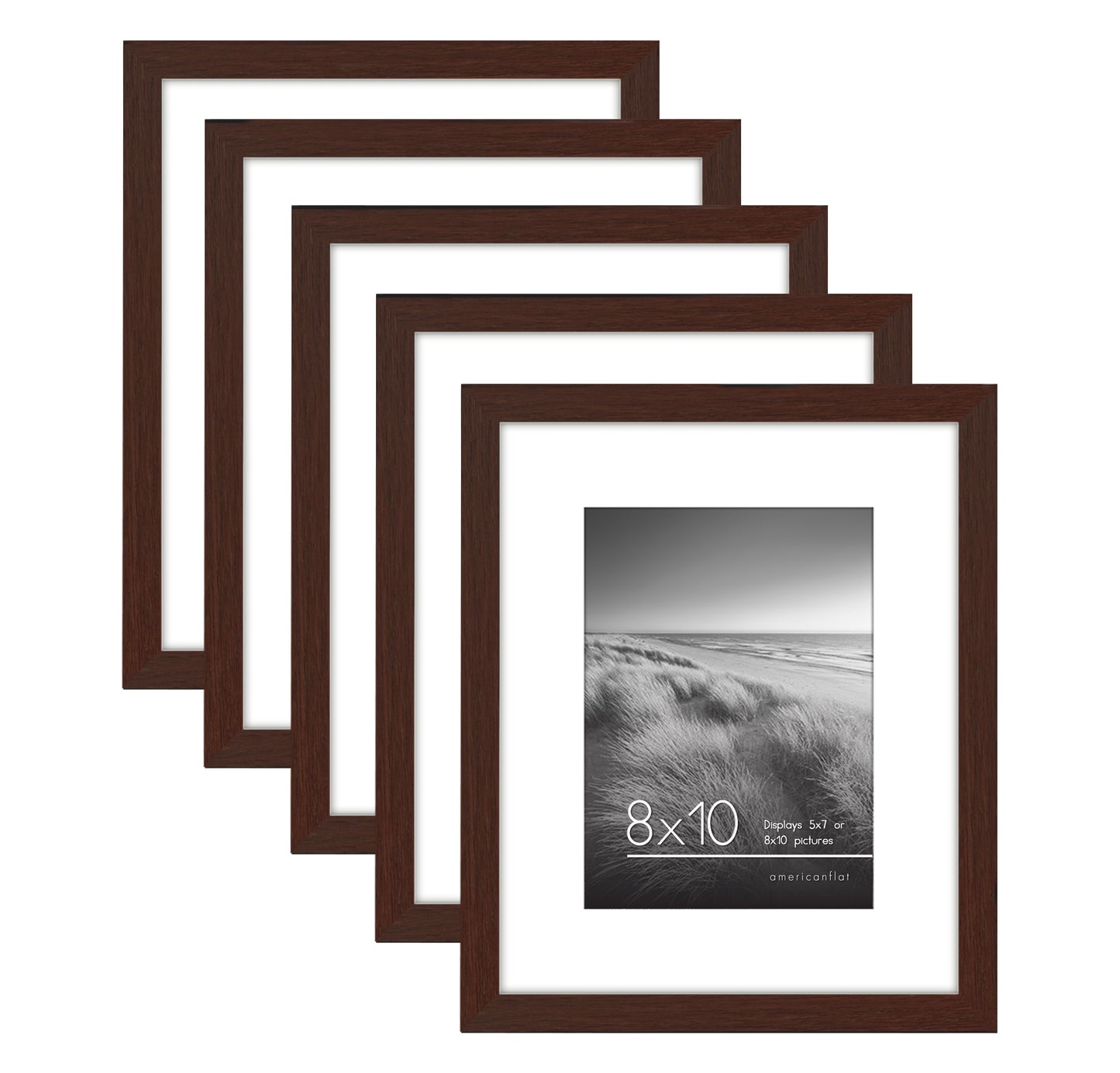 Set of 5 - Classic Gallery Picture Frame with Mat | Galleria Collection