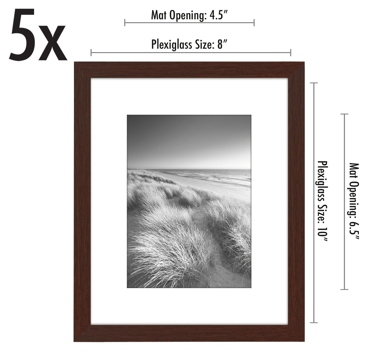 Set of 5 - Classic Gallery Picture Frame with Mat | Galleria Collection